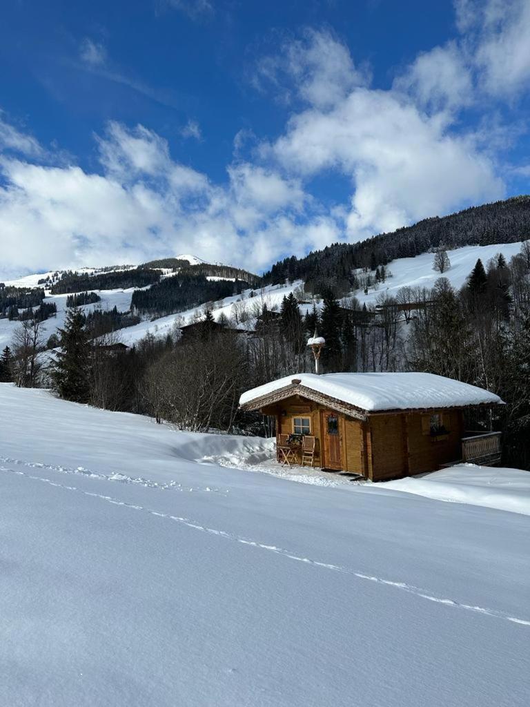 Bärenbach - Almhütte Saalbach
