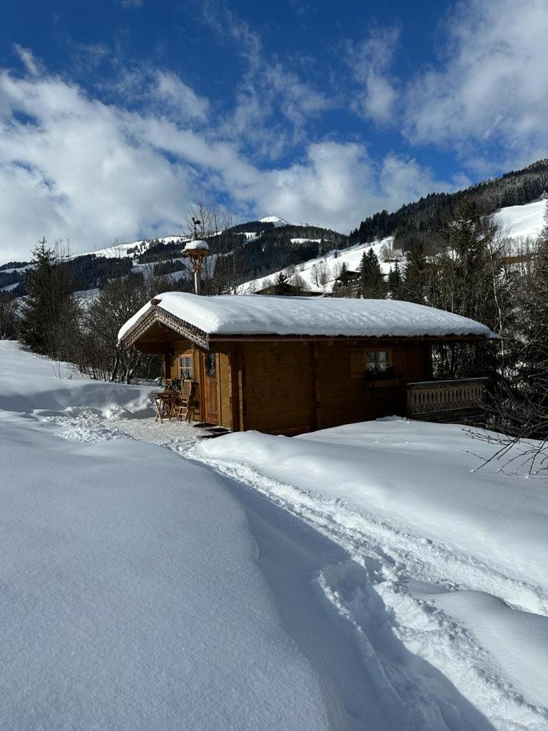 Bärenbach - Almhütte Saalbach