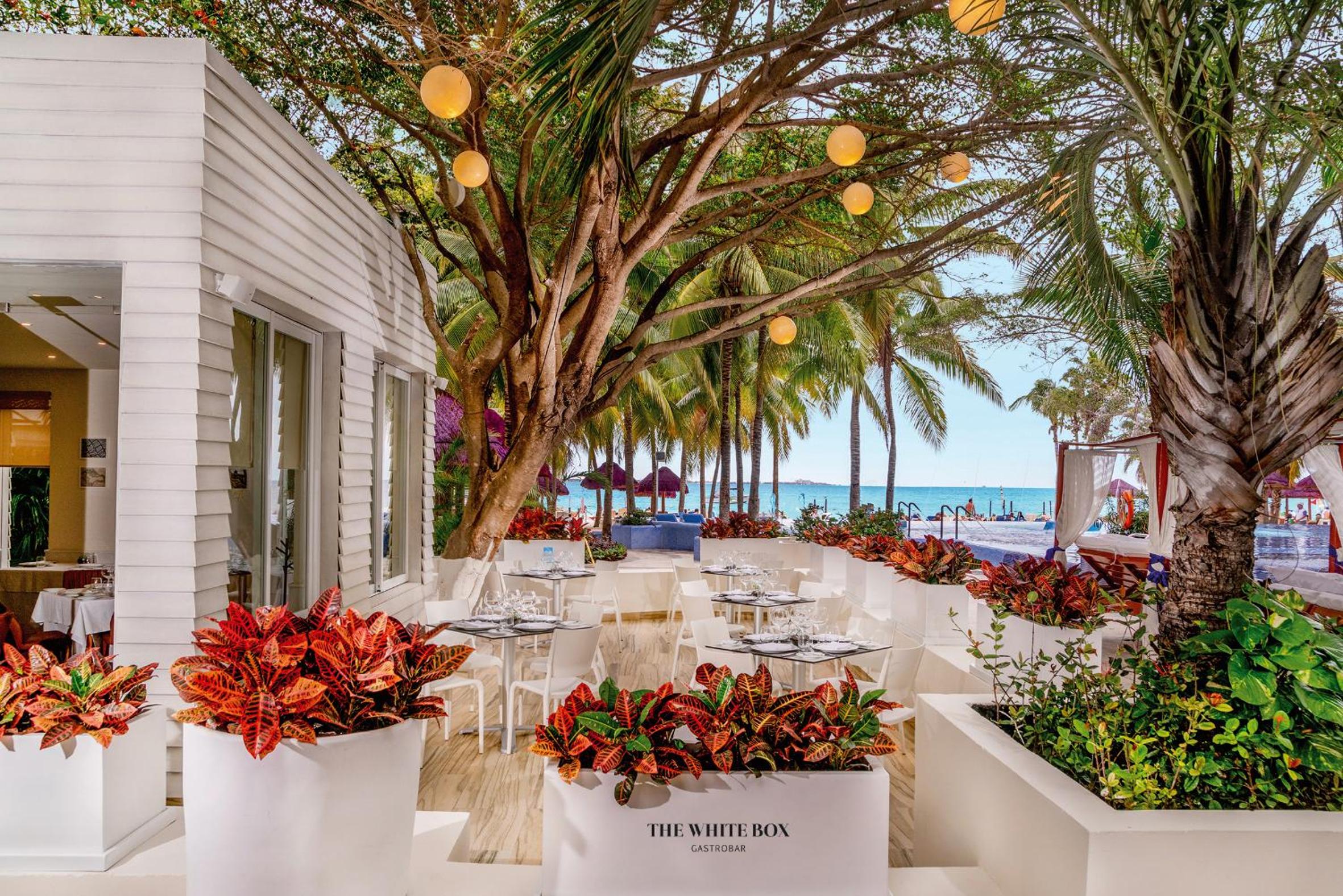 The Sens Cancun by Oasis - All Inclusive