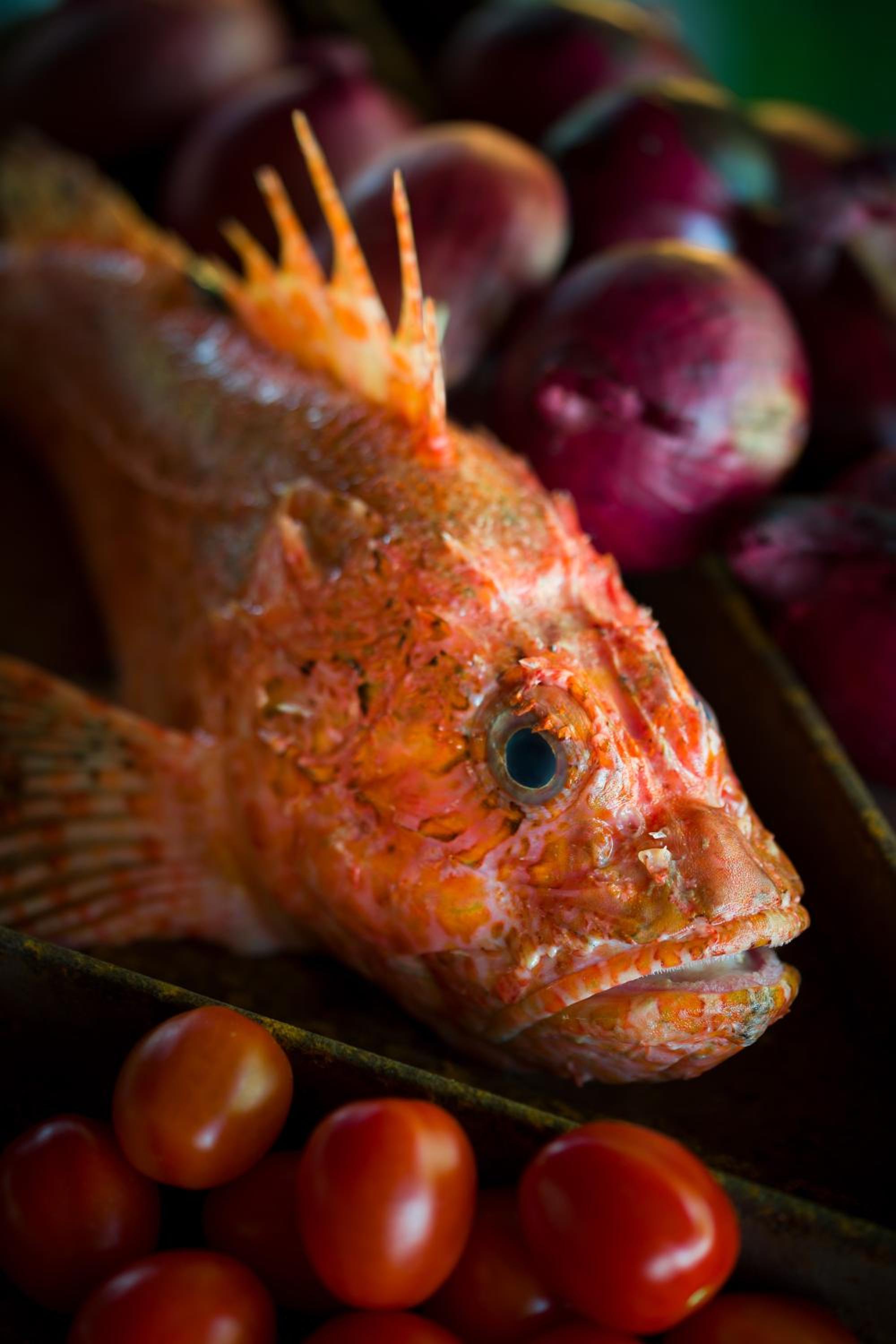 Photo 37
