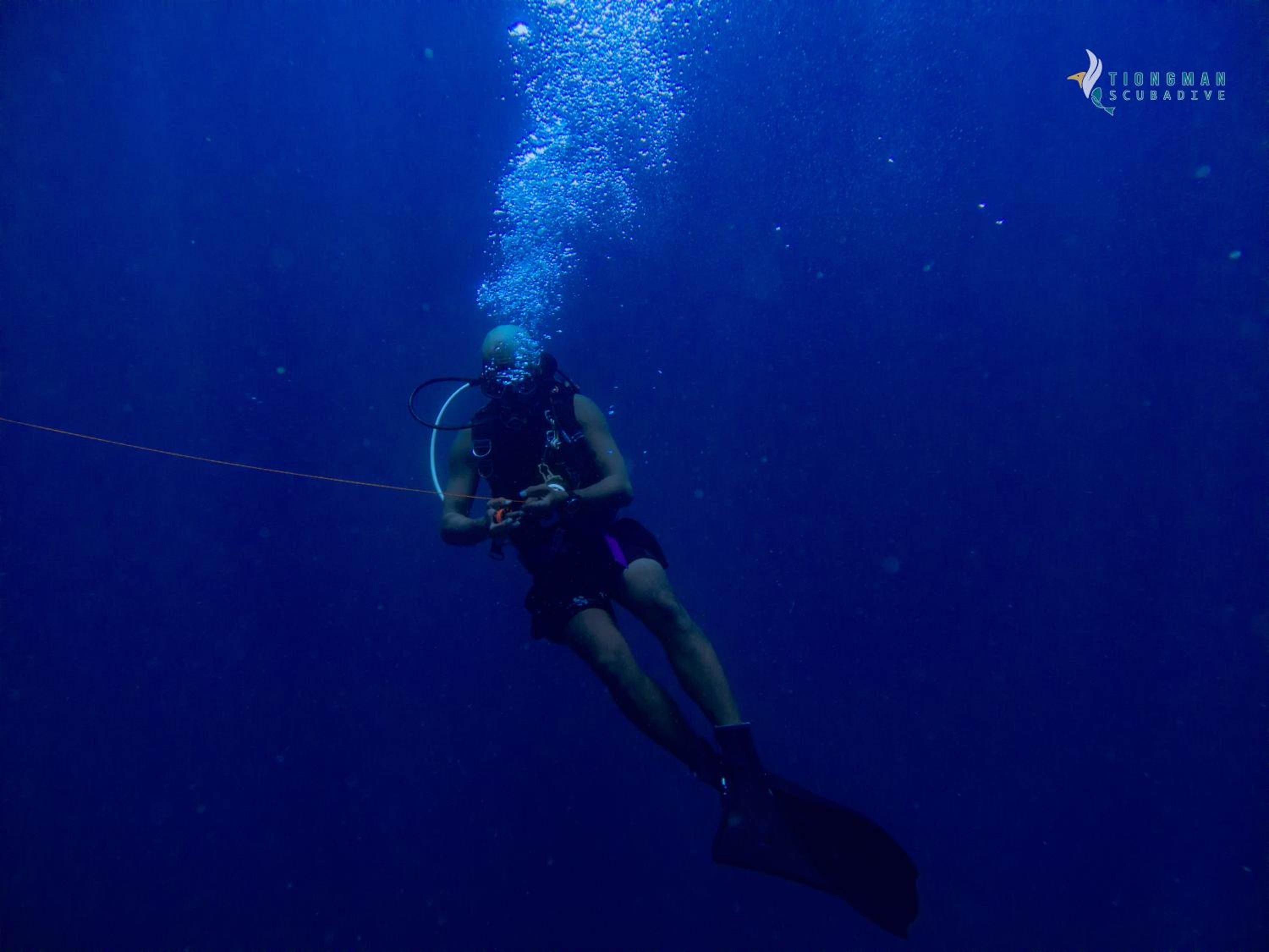 Tiongman Scubadive & Lodge