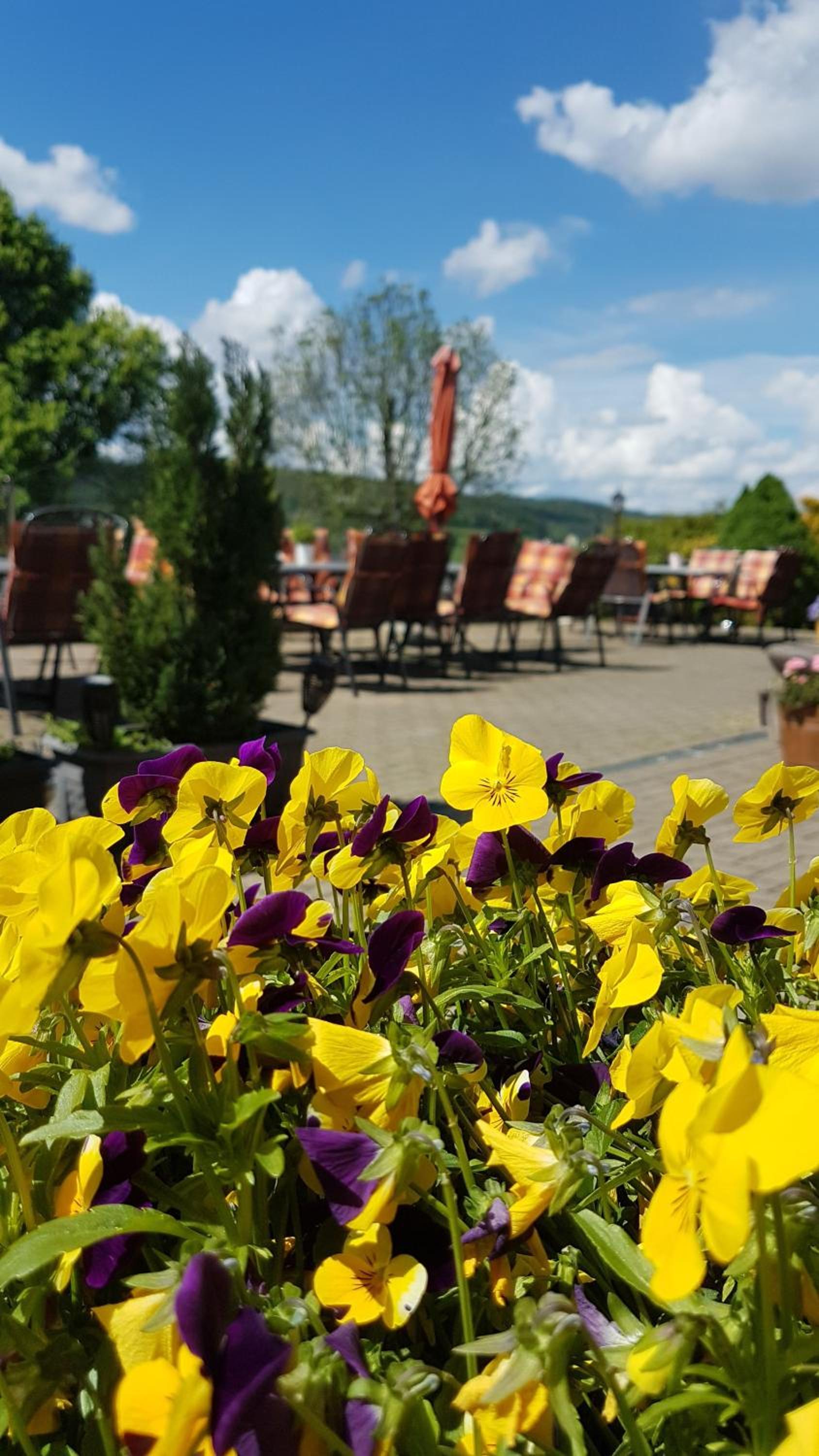 Hotel Zum Poppschen Gut