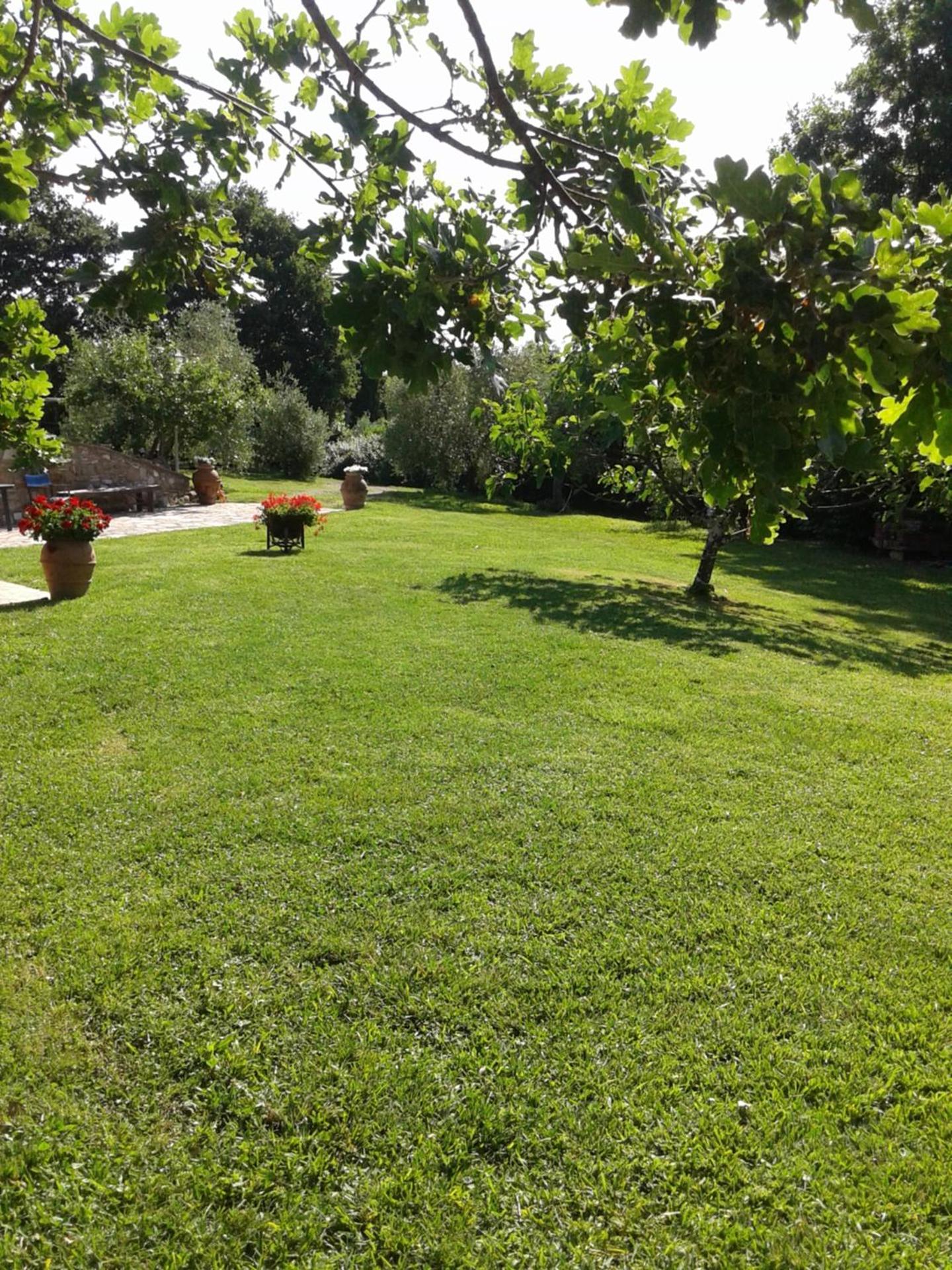 Photo 40