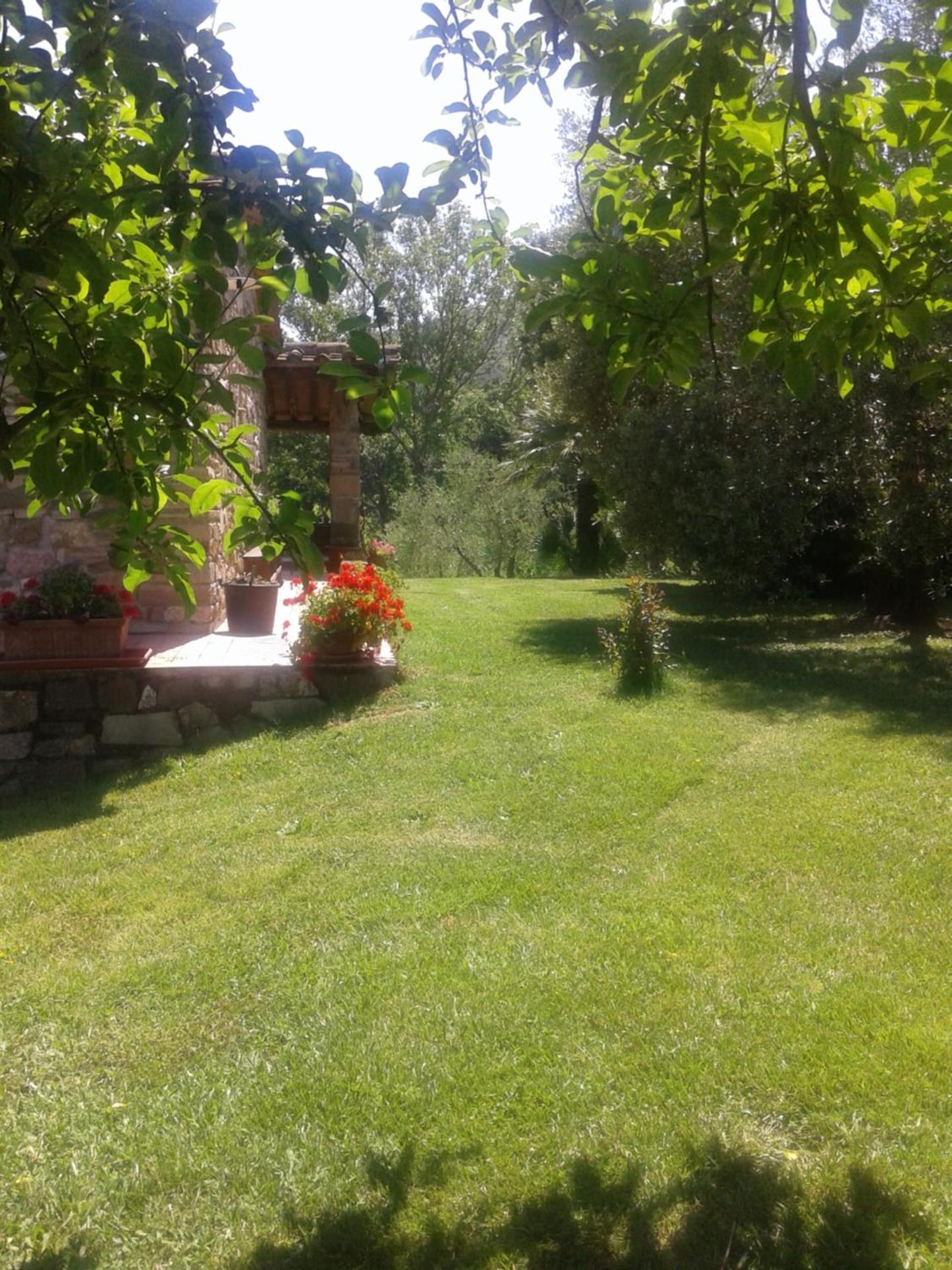 Photo 44