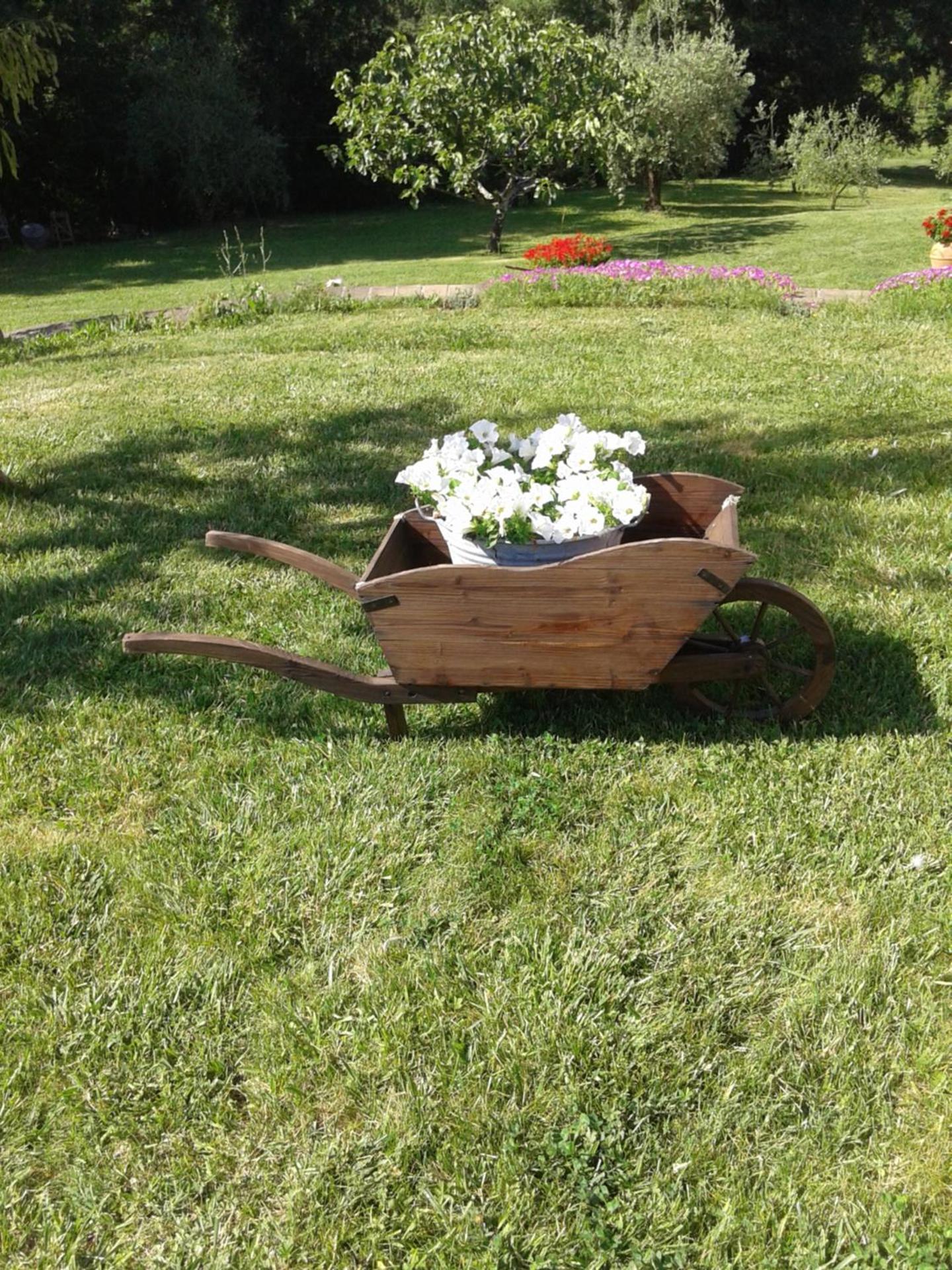 Photo 46