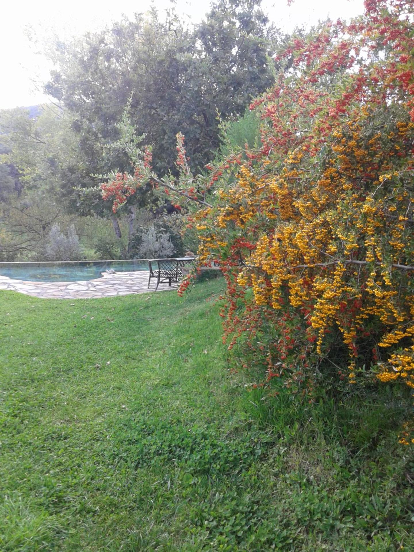 Photo 48