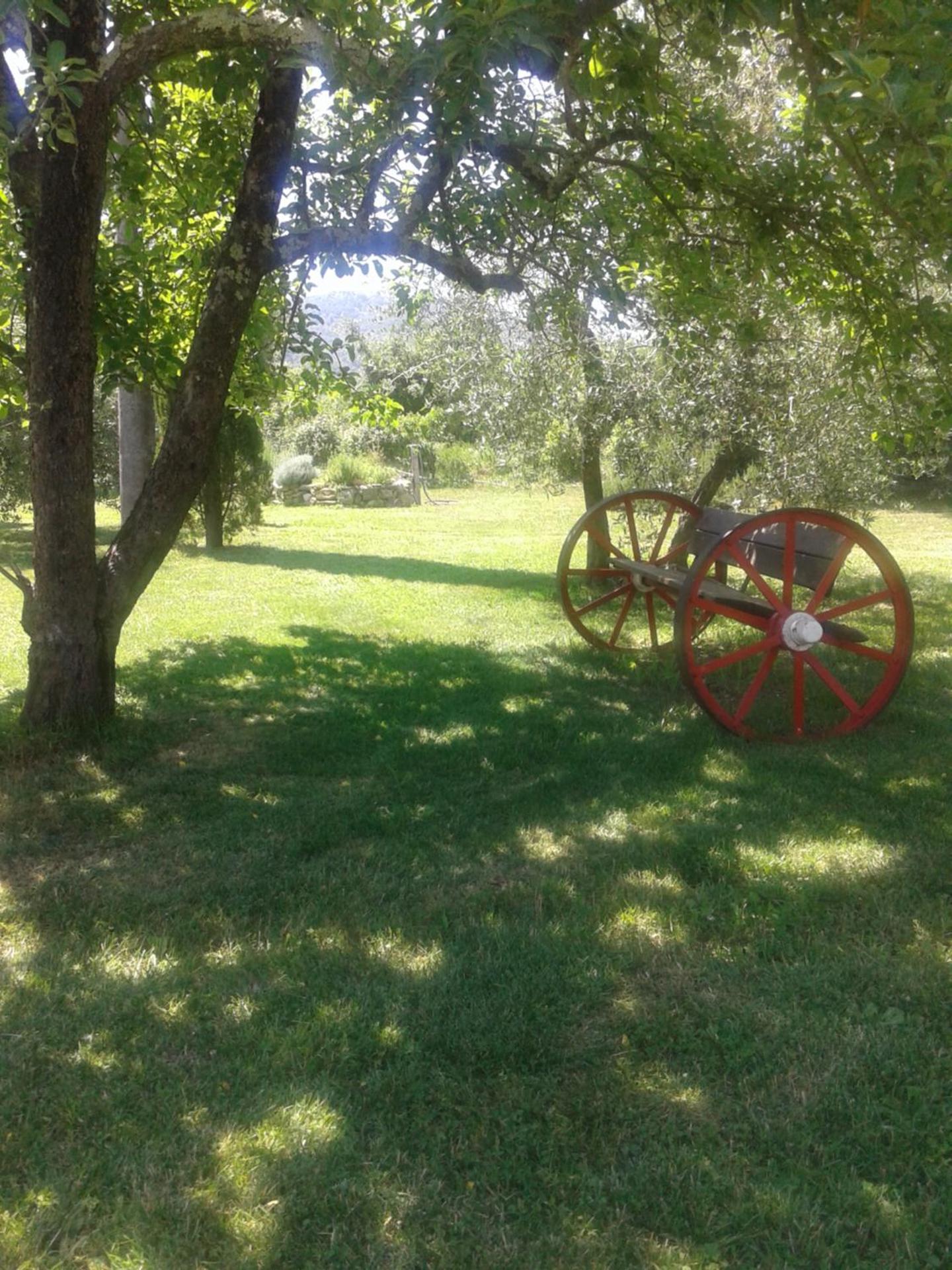 Photo 49