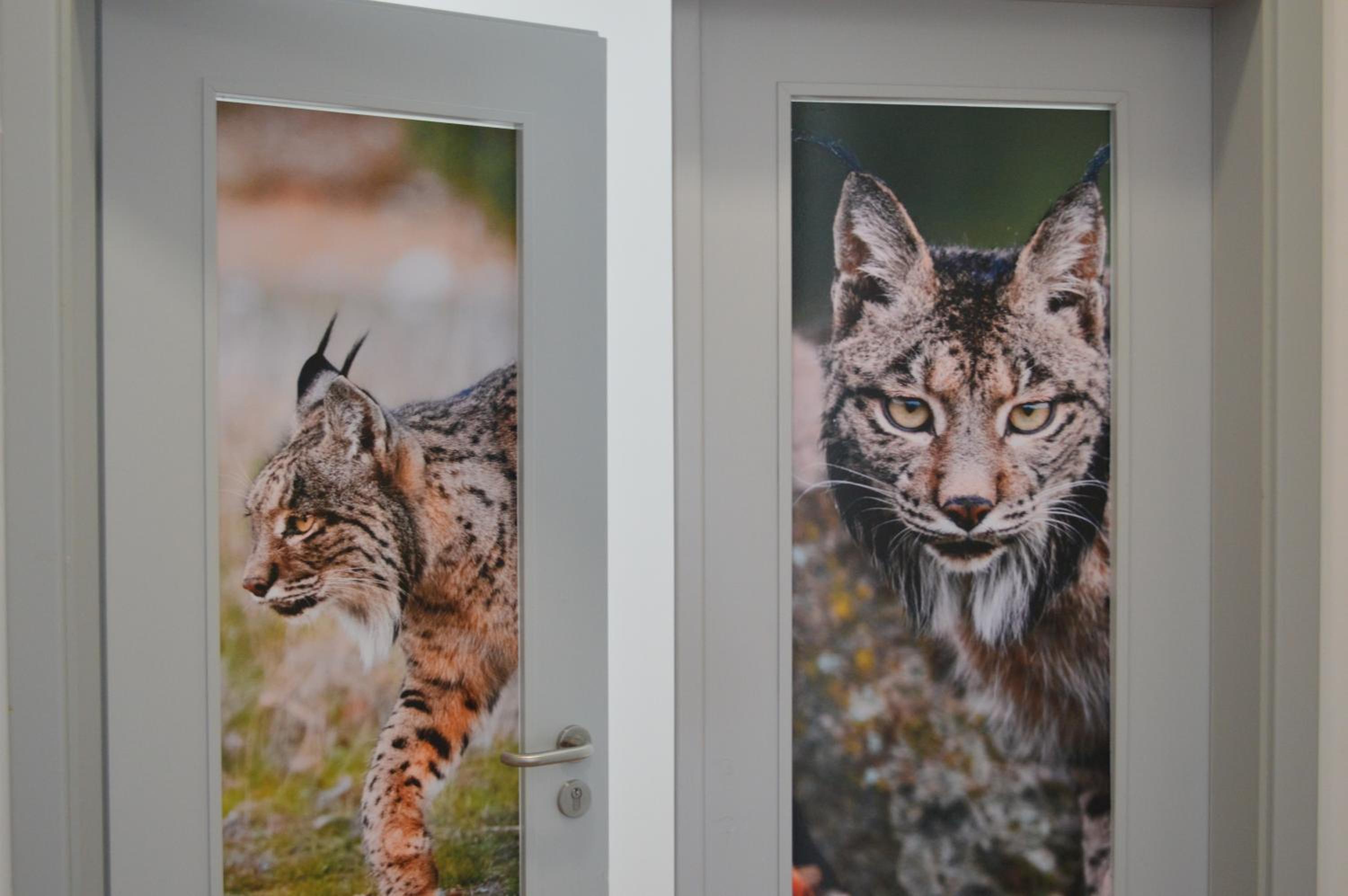 Centro Rewilding