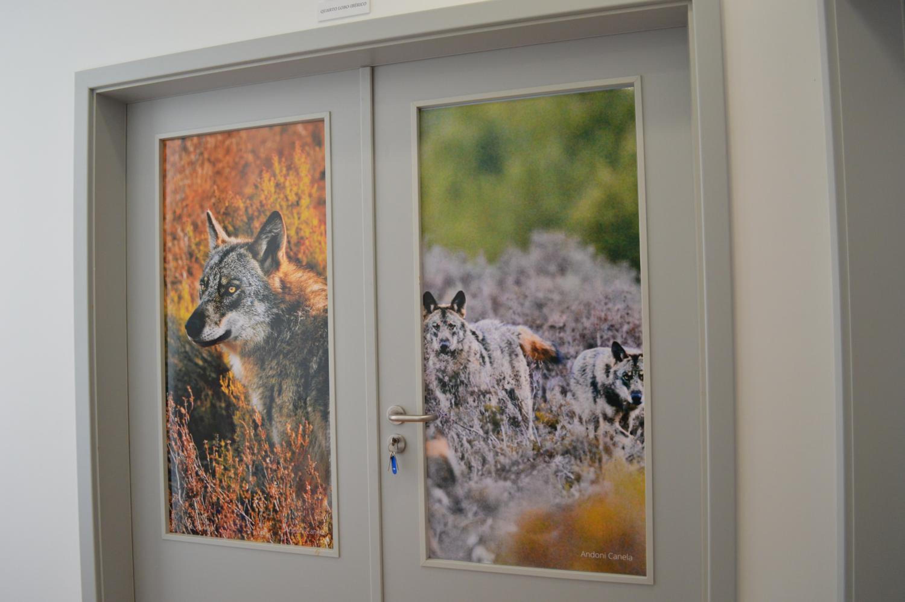 Centro Rewilding