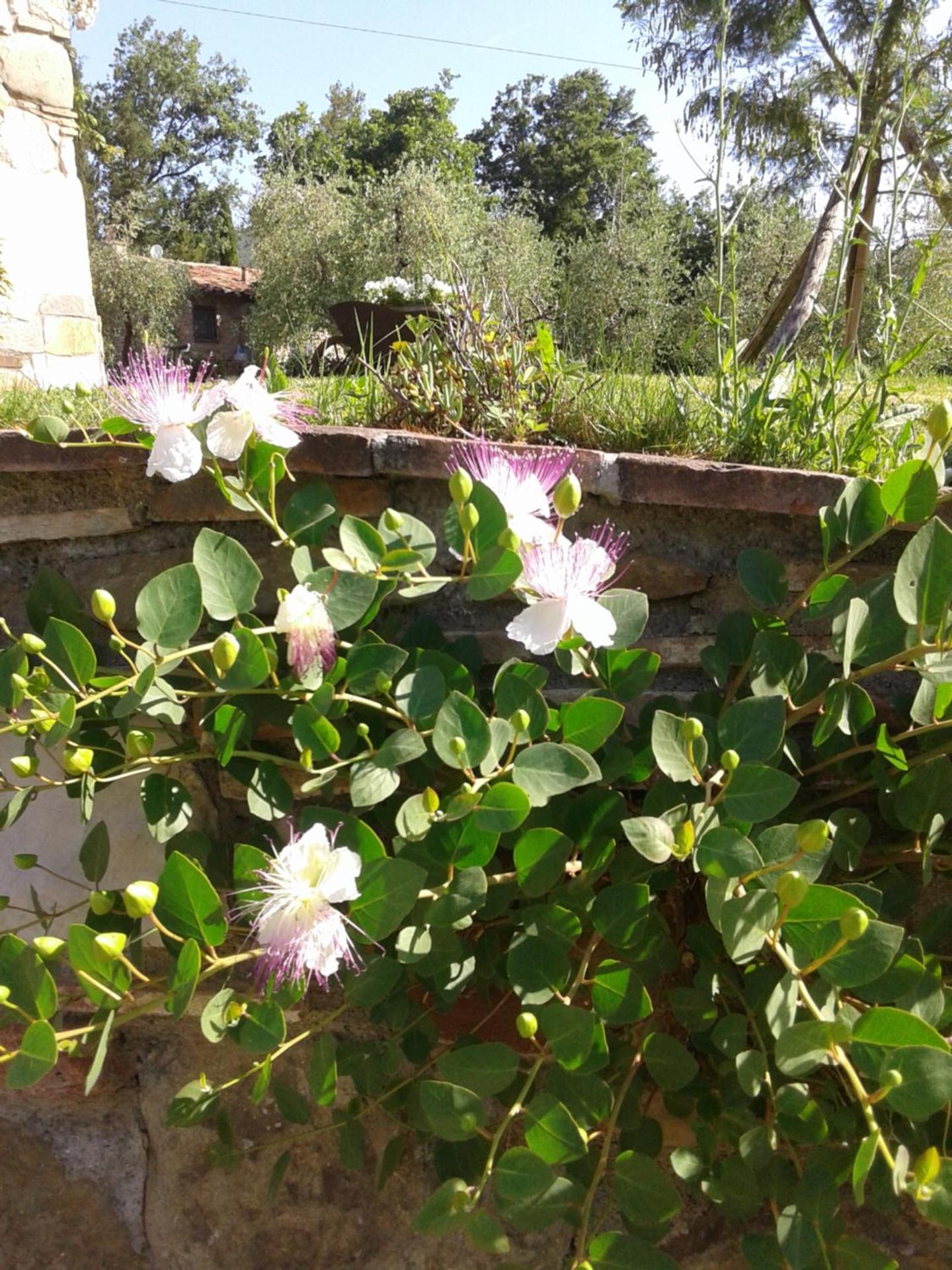 Photo 53