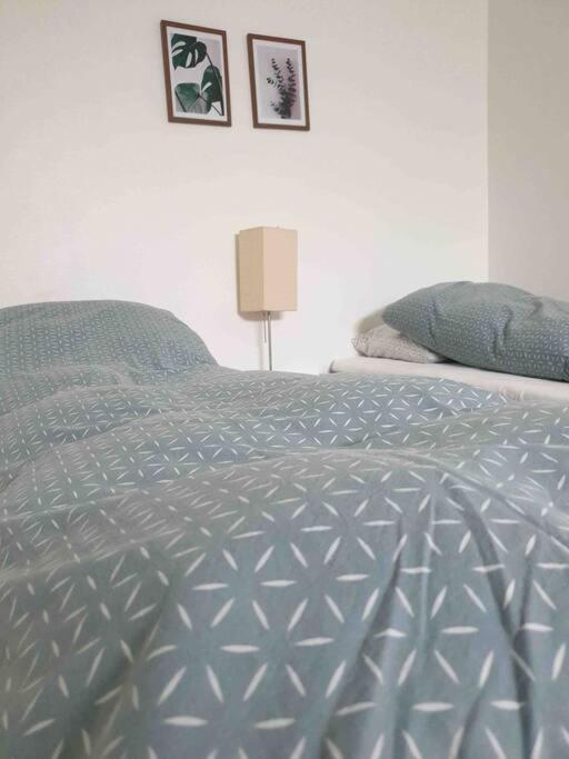 Cosy groundfloor apartment