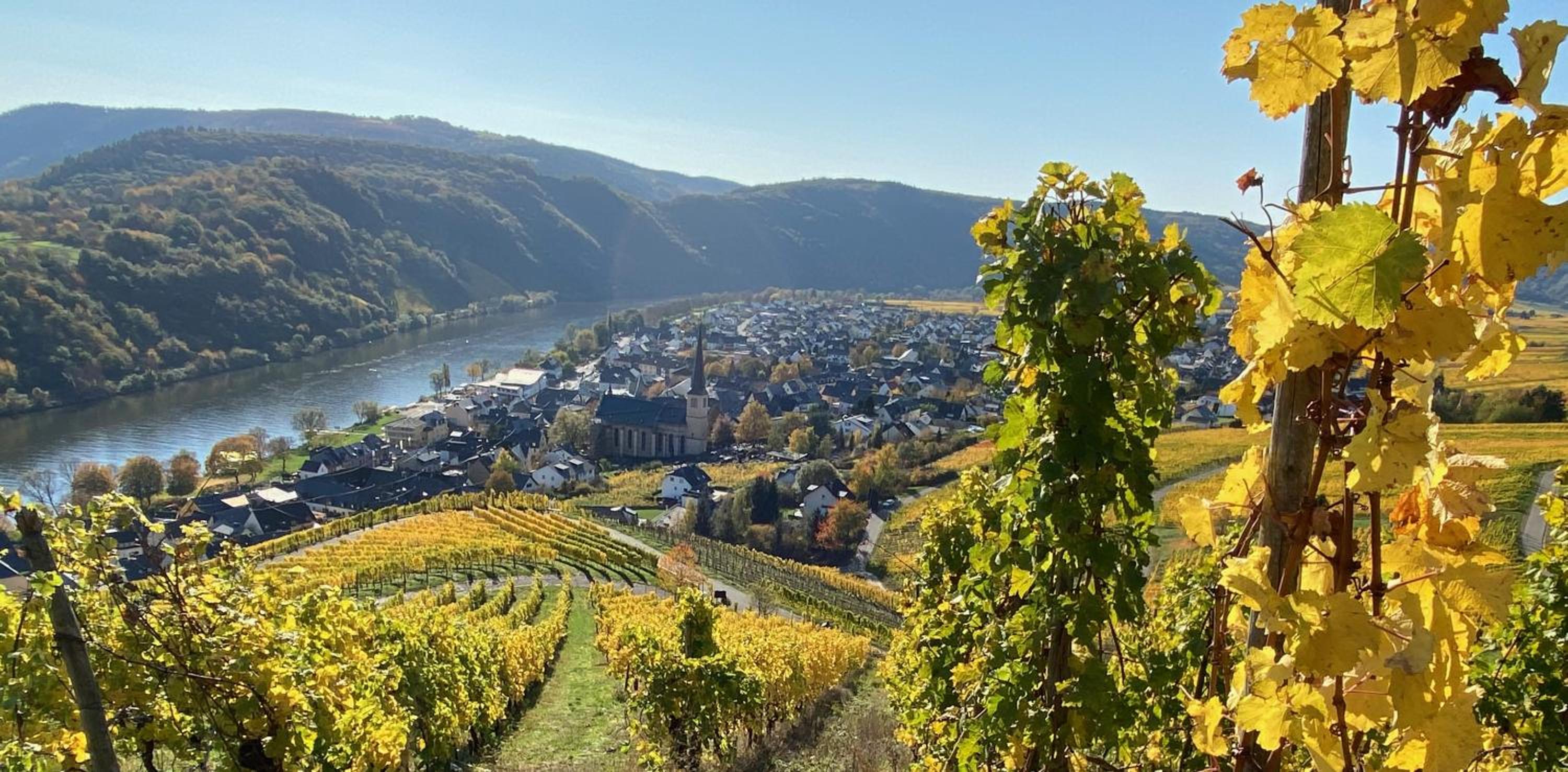 Weingut Krupka Riverside