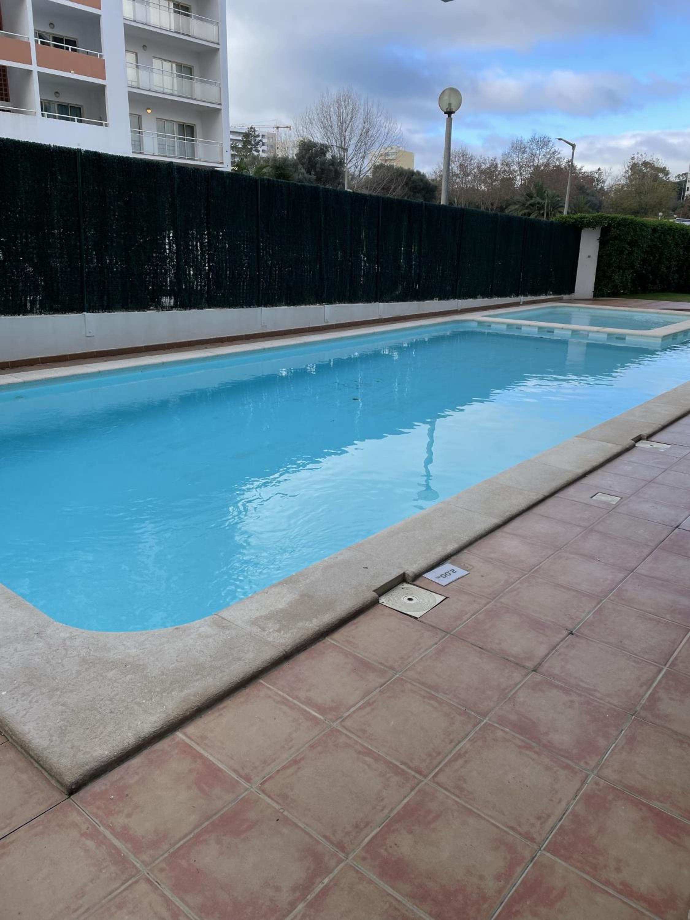 Belo Horizonte Studio- Pet Friendly view 5