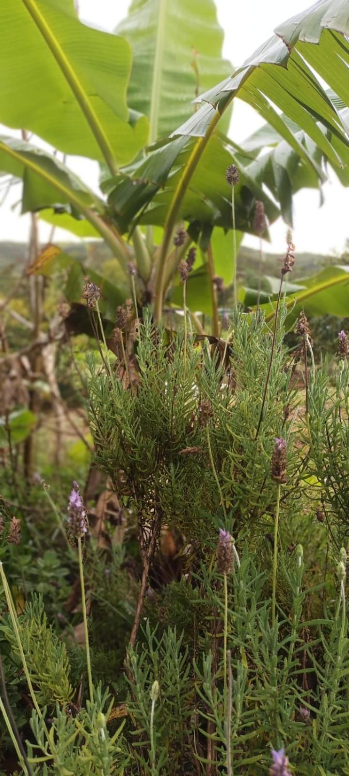 Casa confortável, pertinho da cidade e conectada a natureza