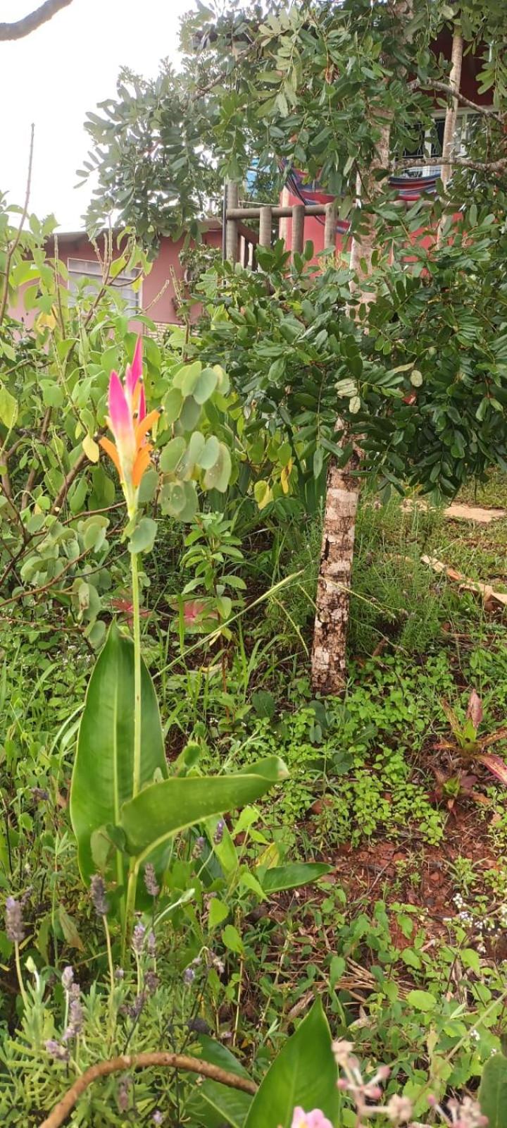 Casa confortável, pertinho da cidade e conectada a natureza