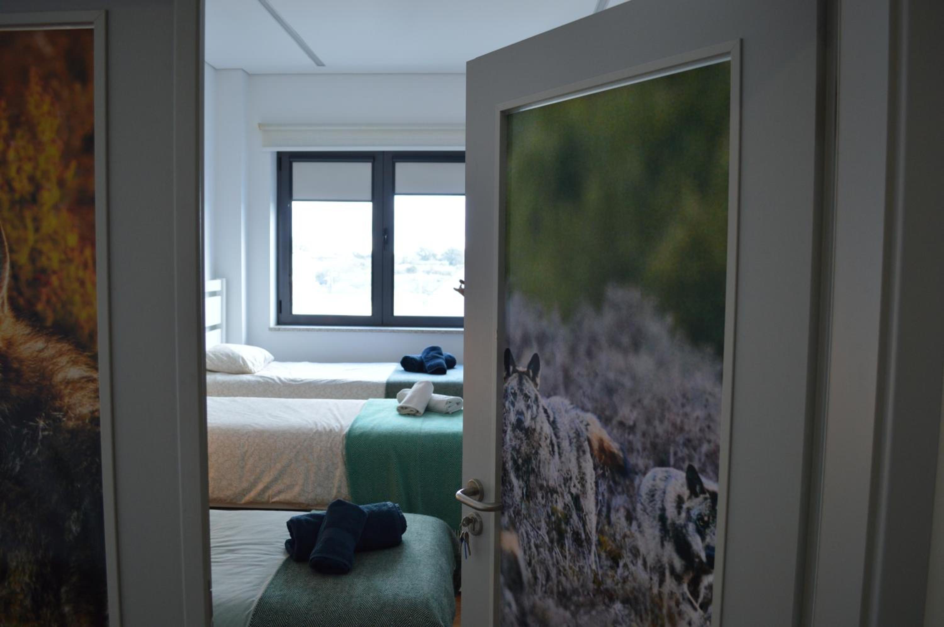 Centro Rewilding