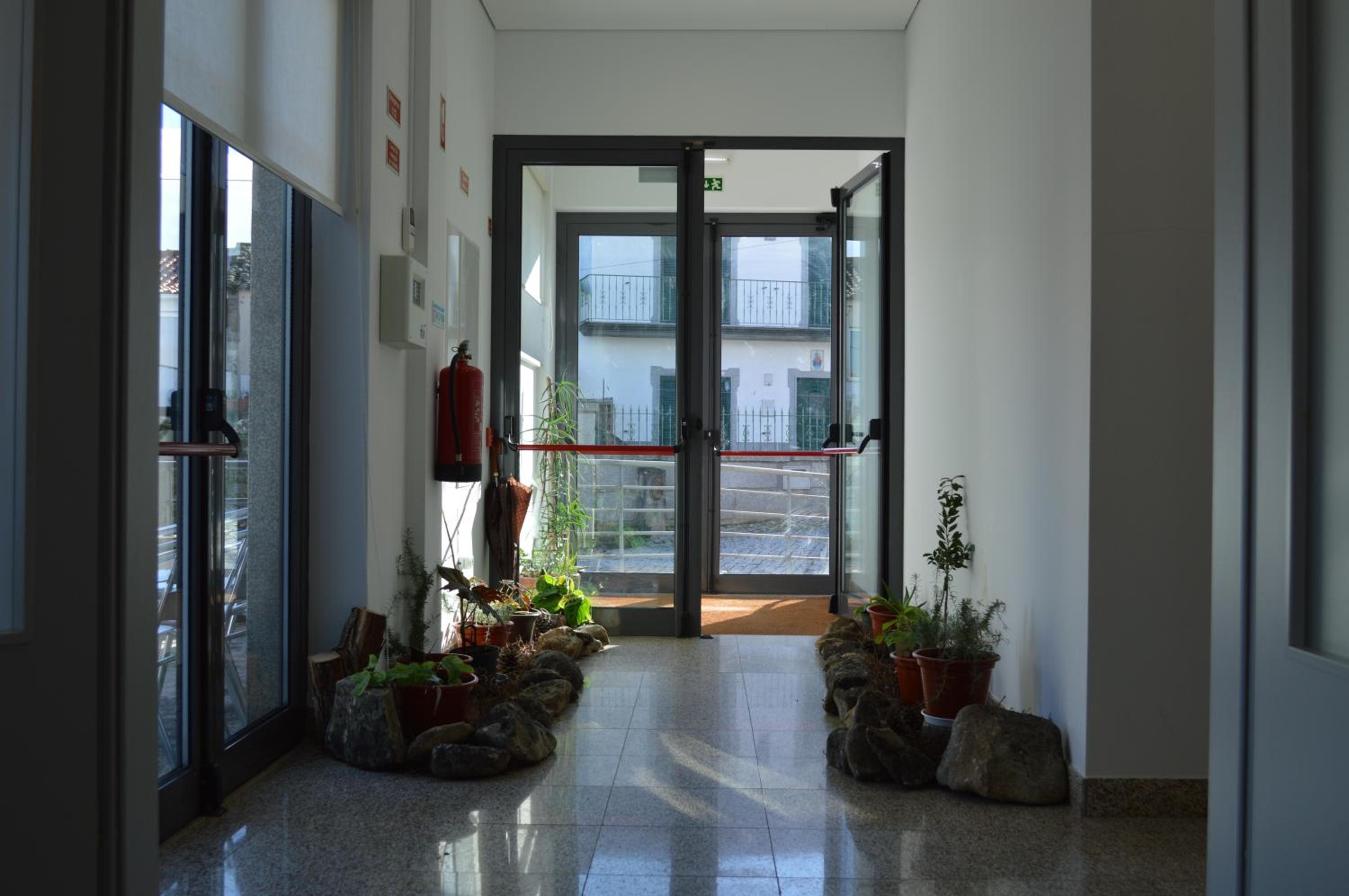 Centro Rewilding