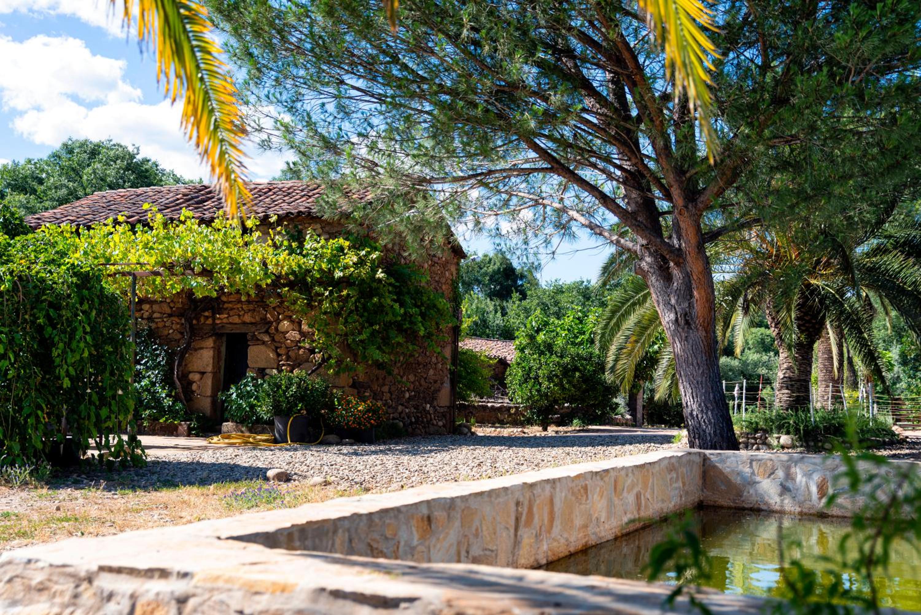 Finca MOLINO DE JARANDA