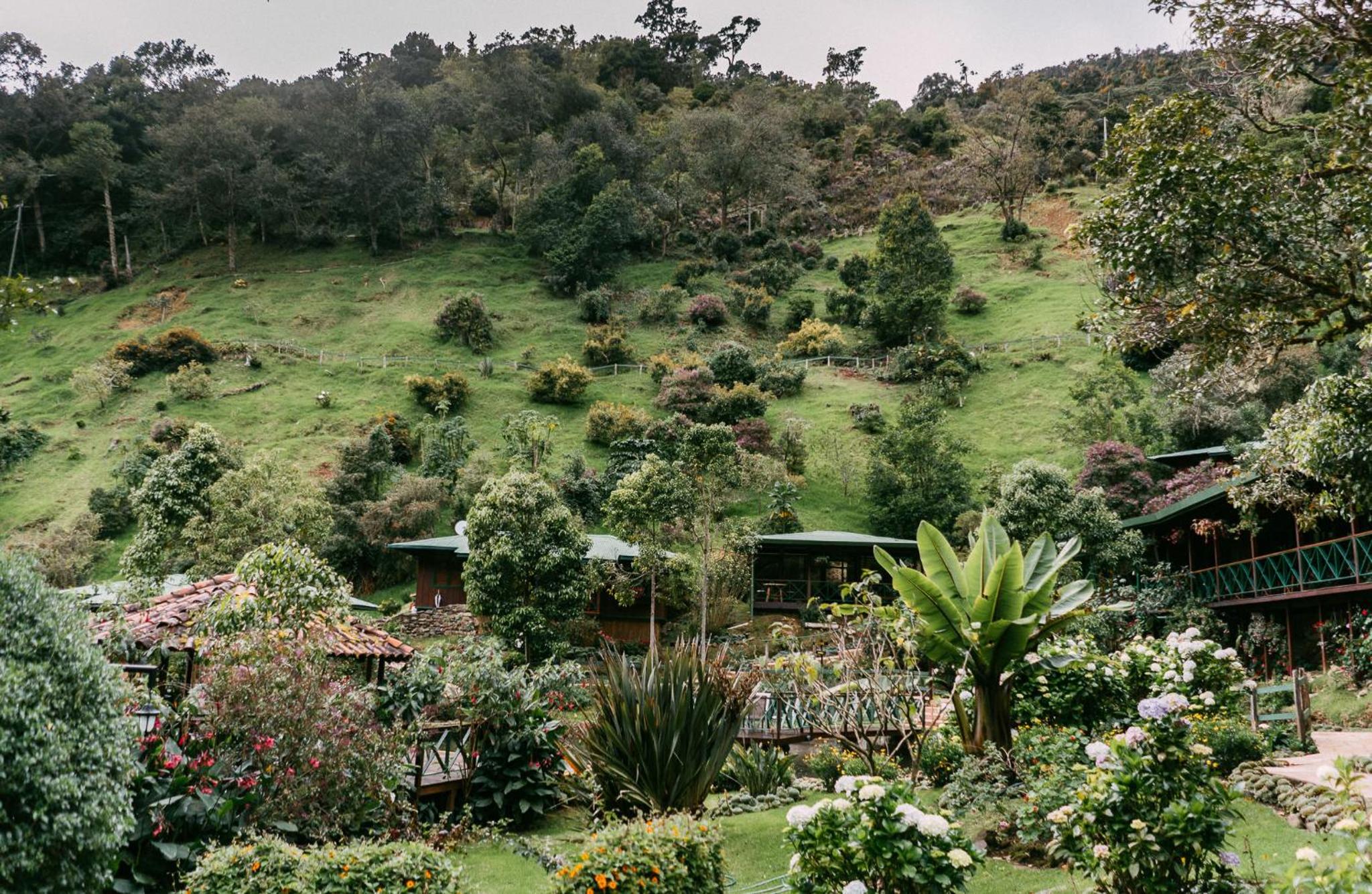 Trogon Lodge