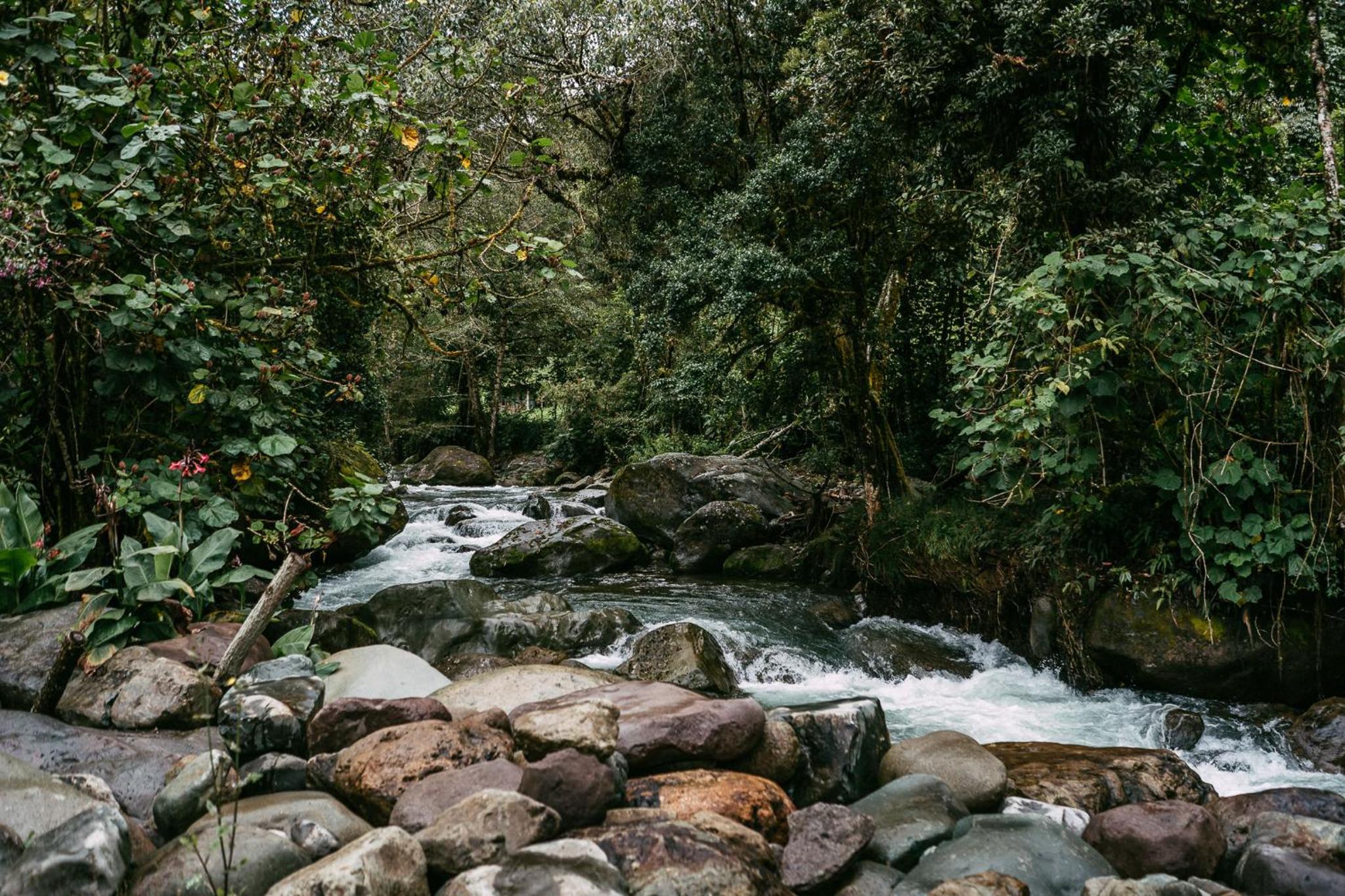 Trogon Lodge