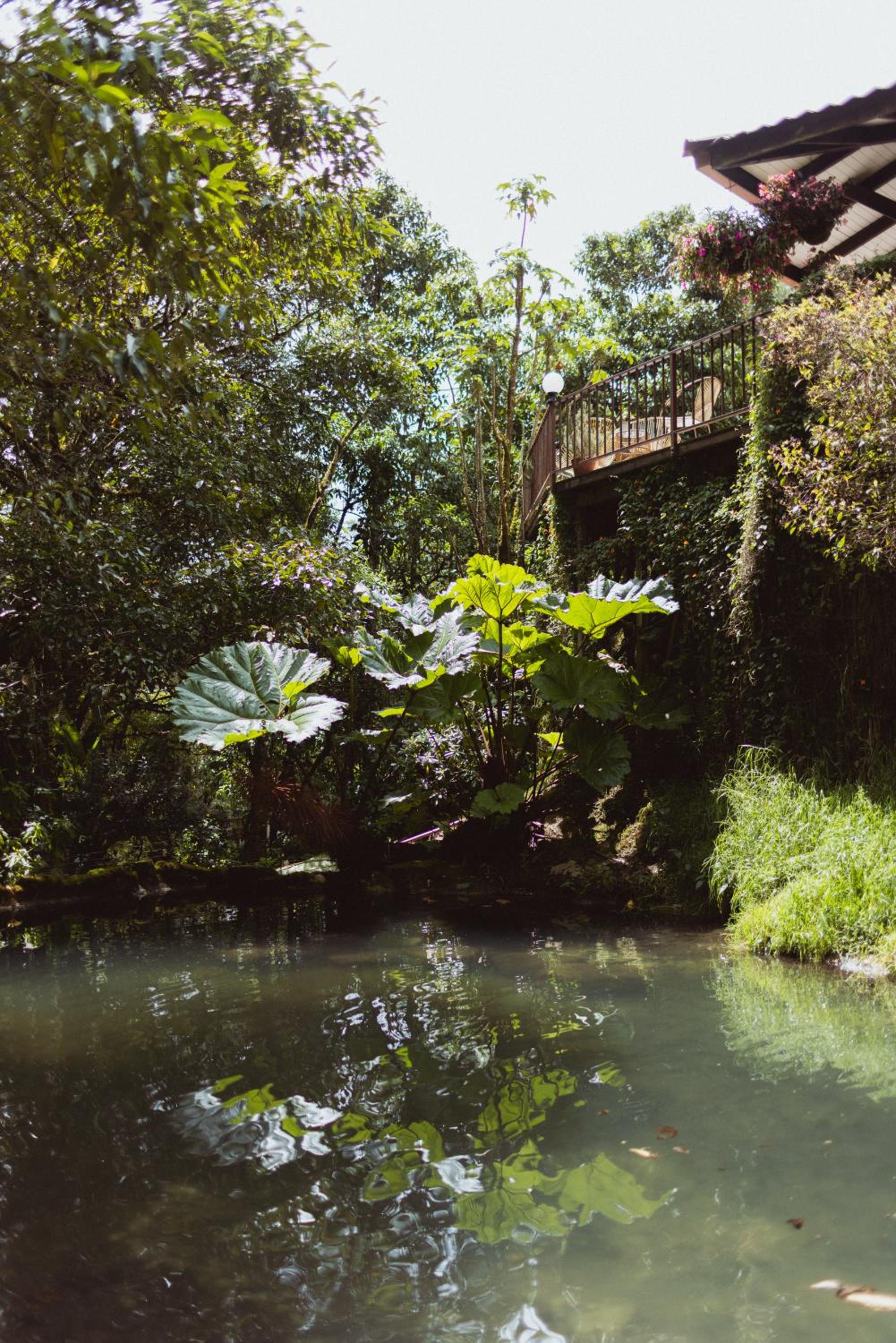 Trogon Lodge