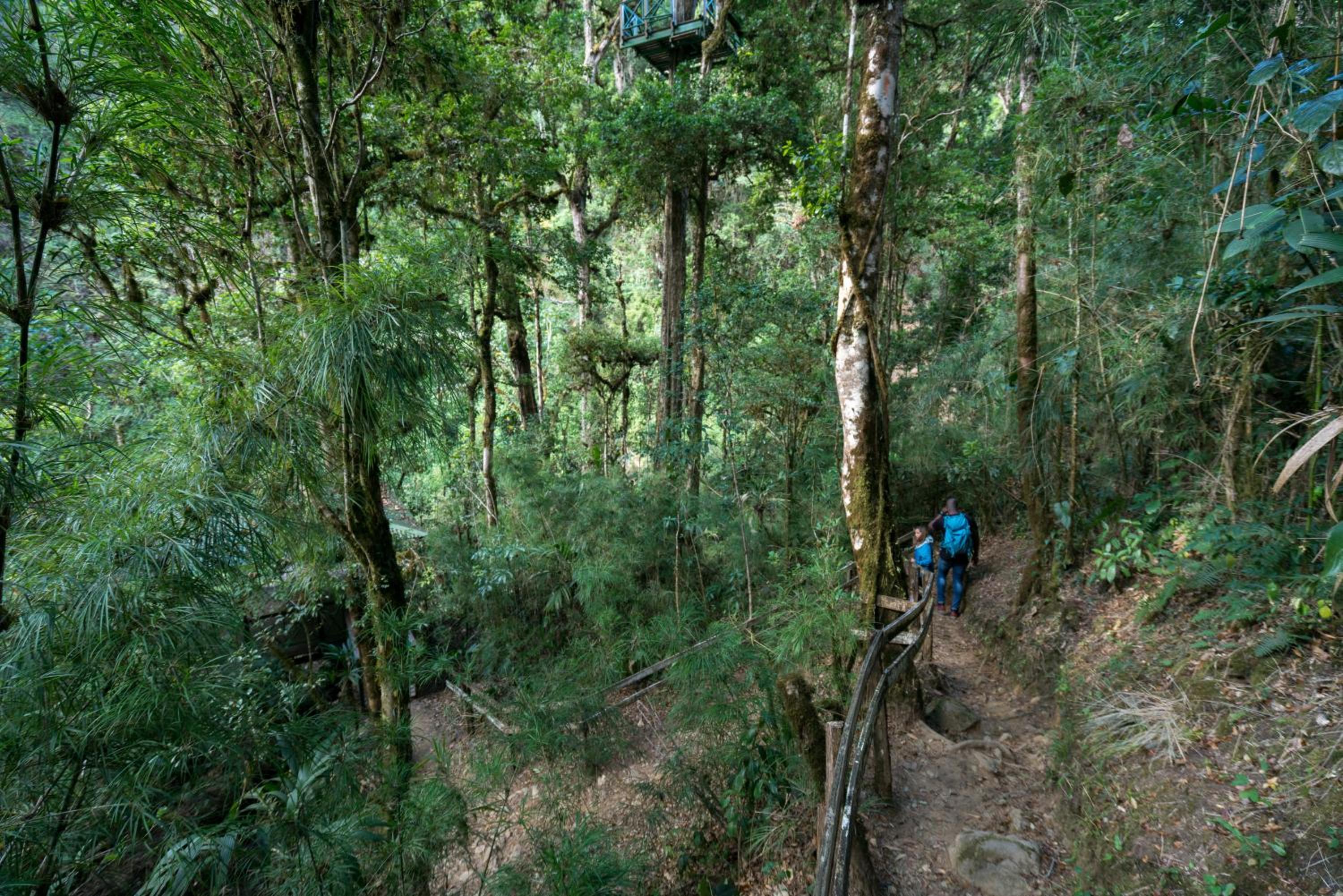 Trogon Lodge