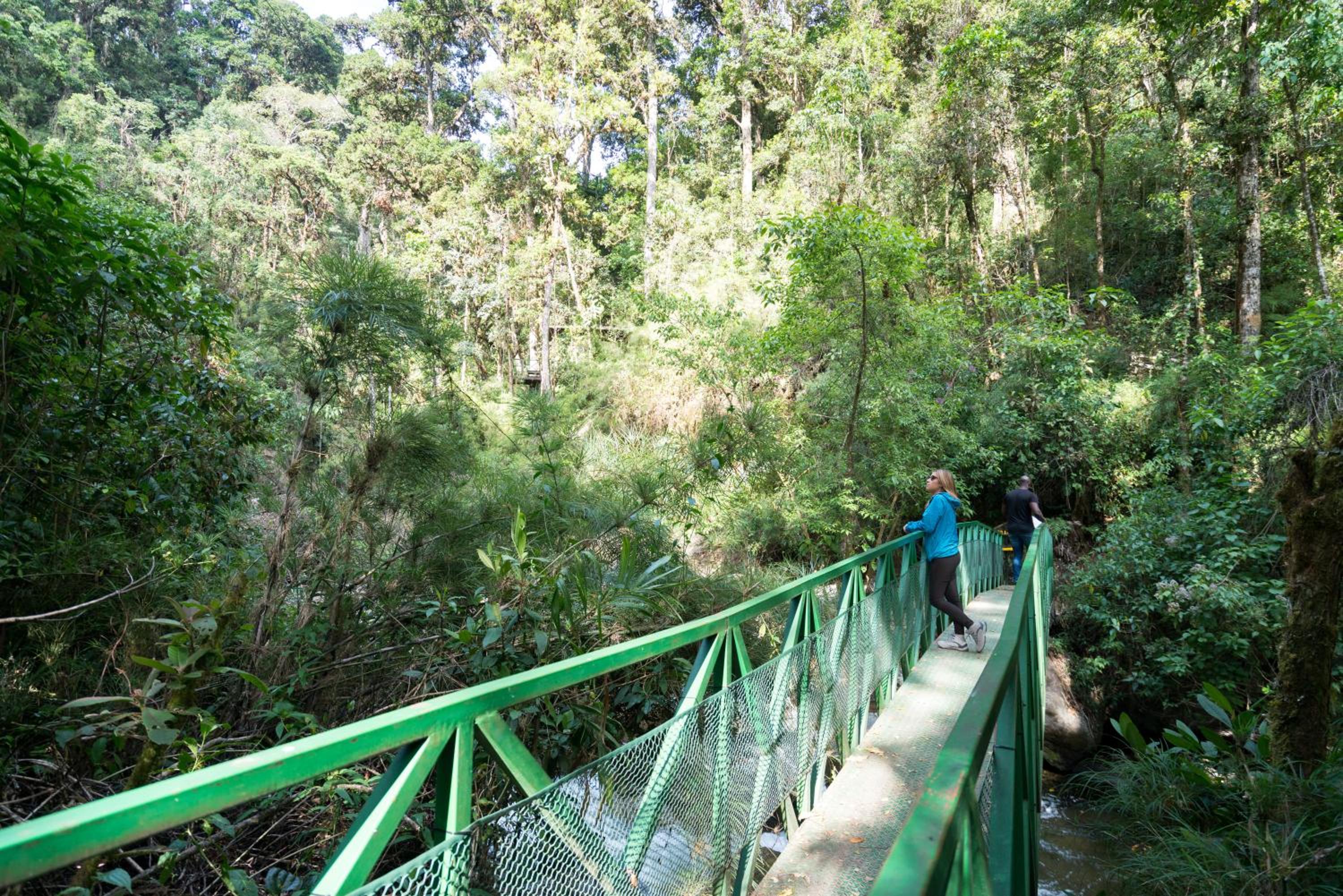 Trogon Lodge