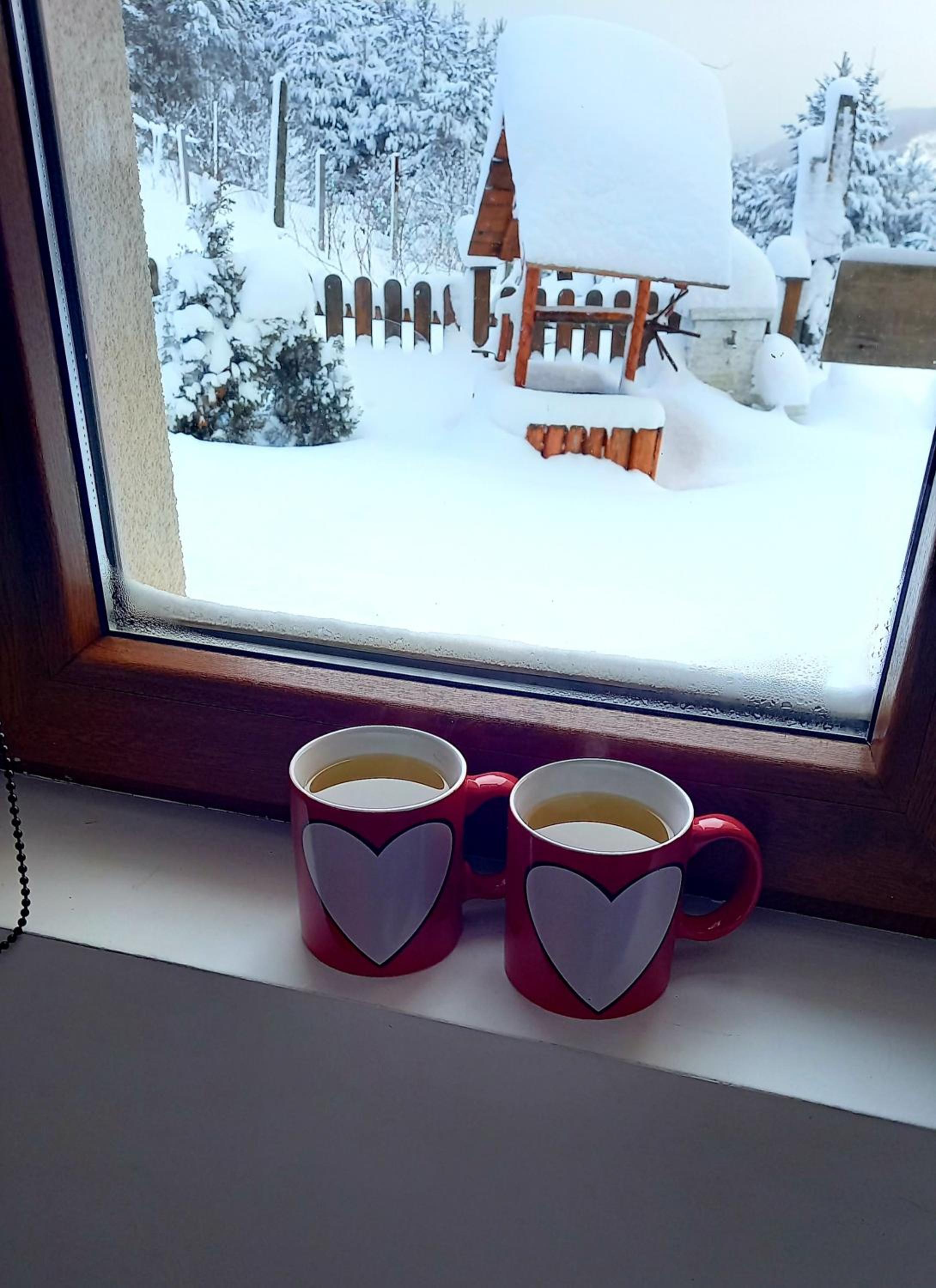 Zlatna Jabuka apartman view 2