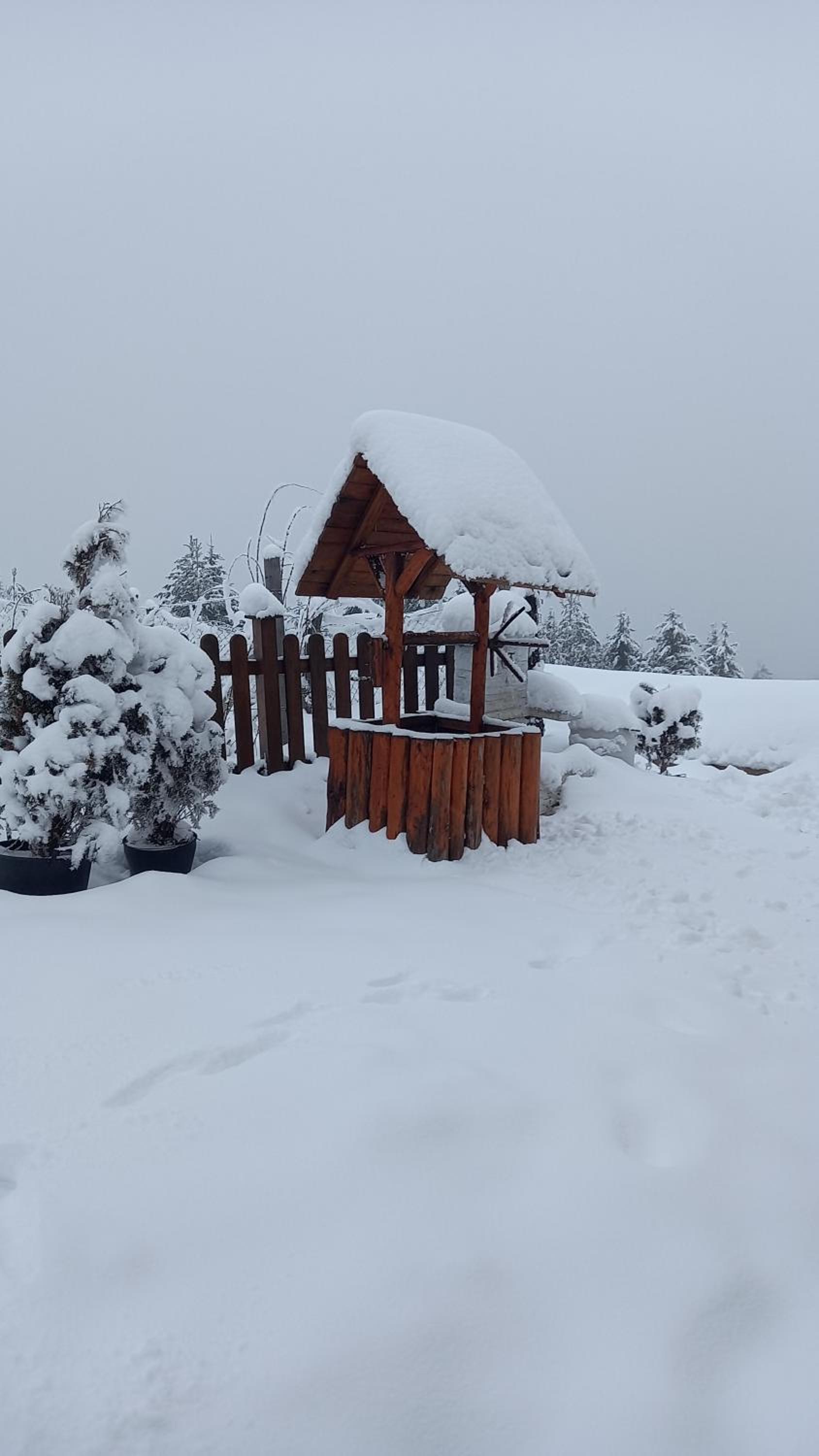 Zlatna Jabuka apartman view 4