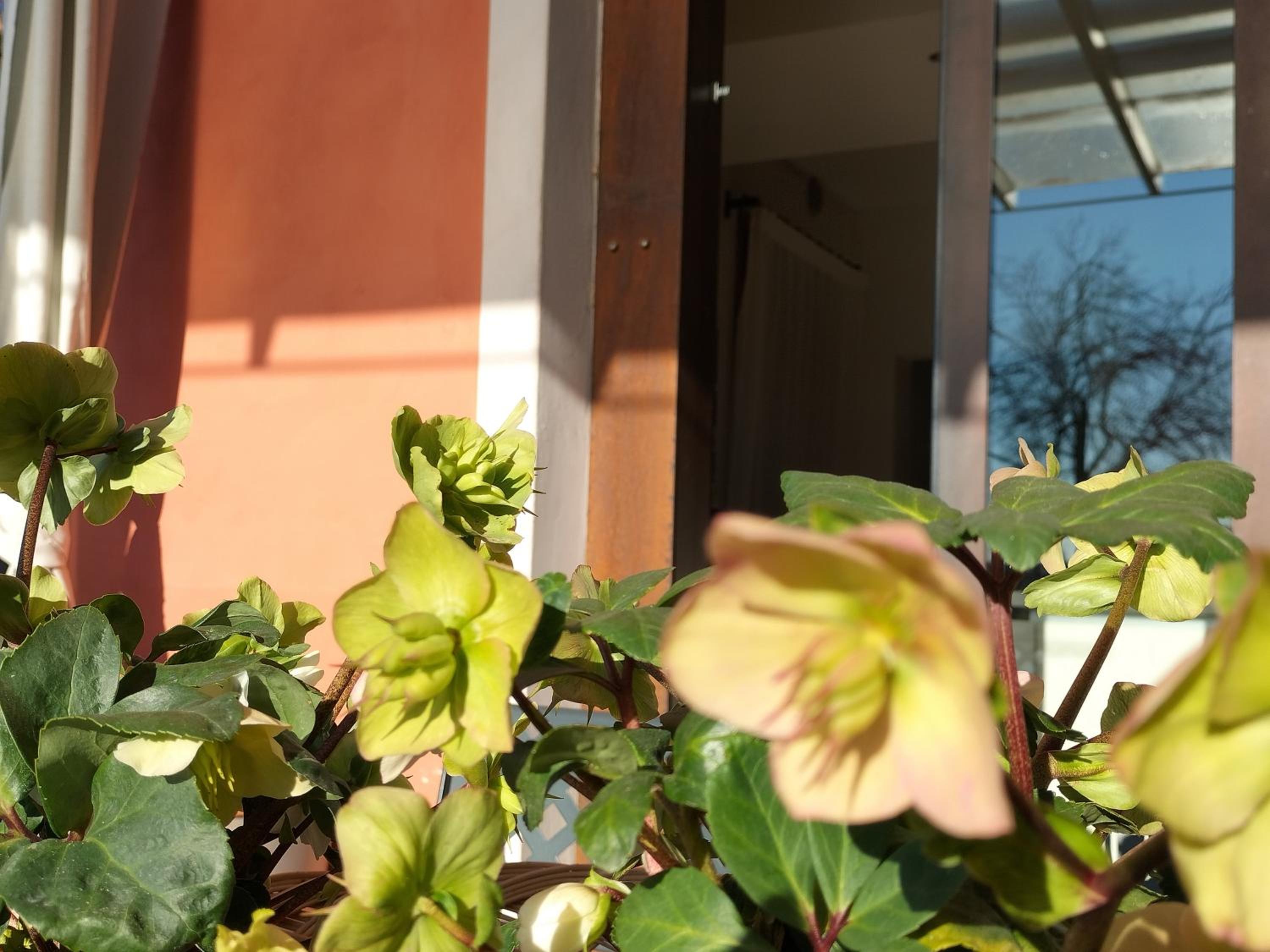 B&B Terre Di Bea