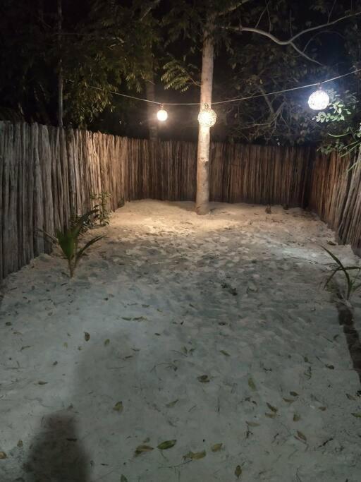 Photo 25