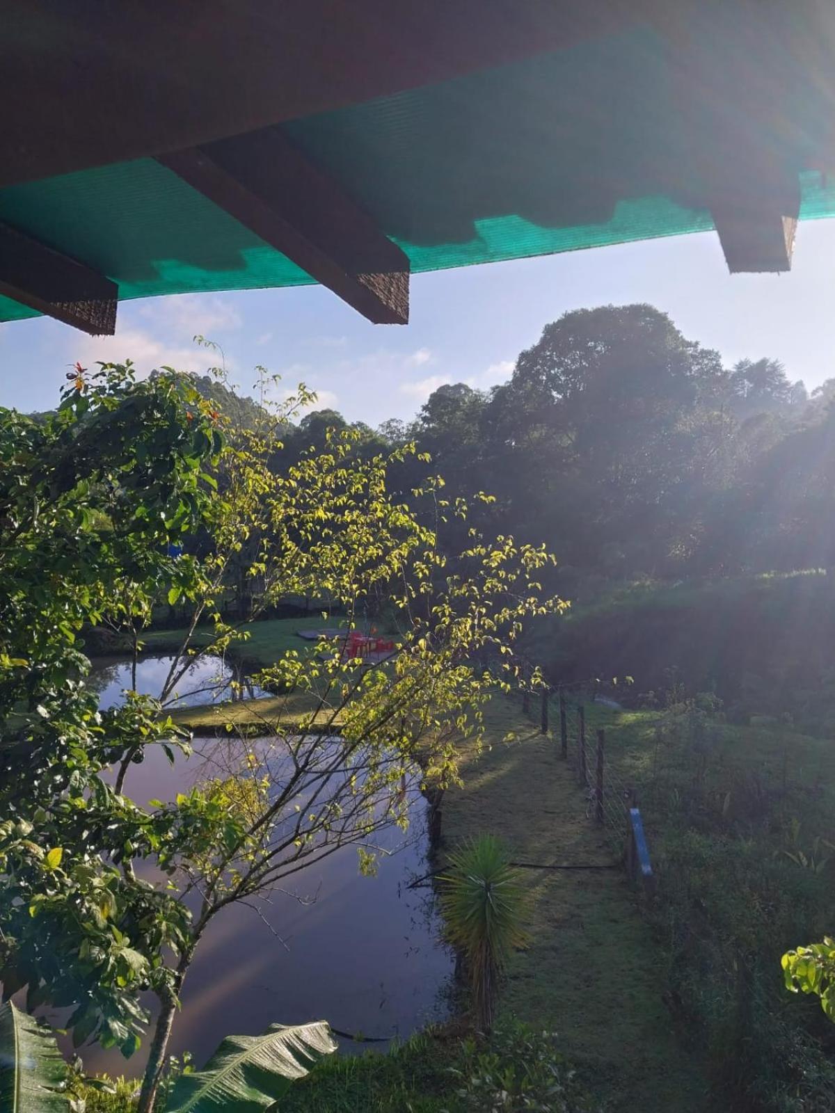 Photo 28