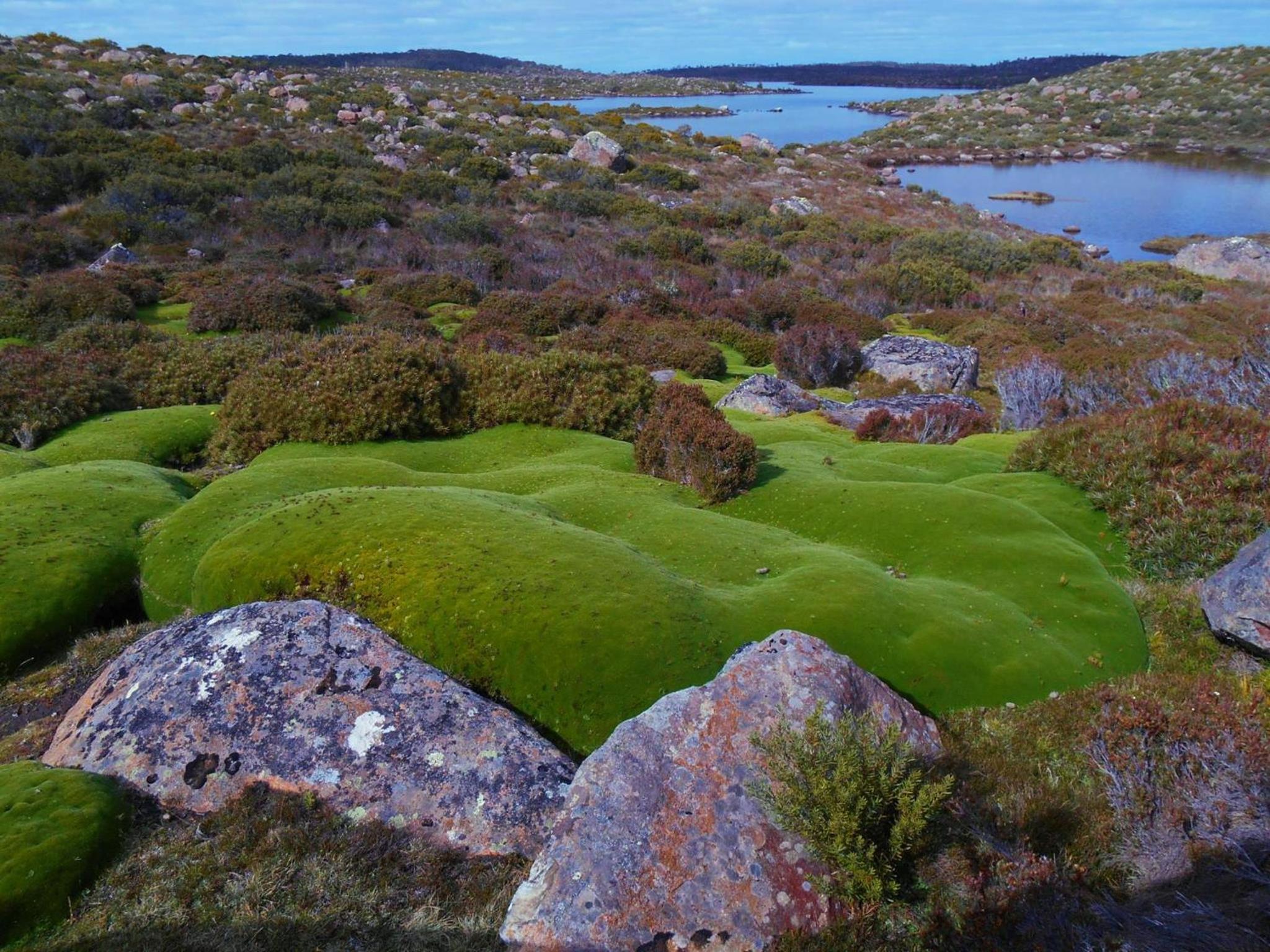 Thousand Lakes Lodge