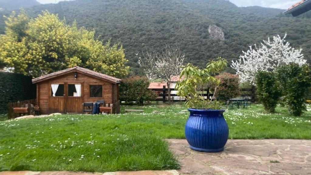 Casa El Olivo