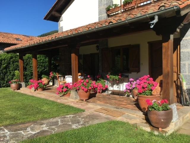 Casa El Olivo