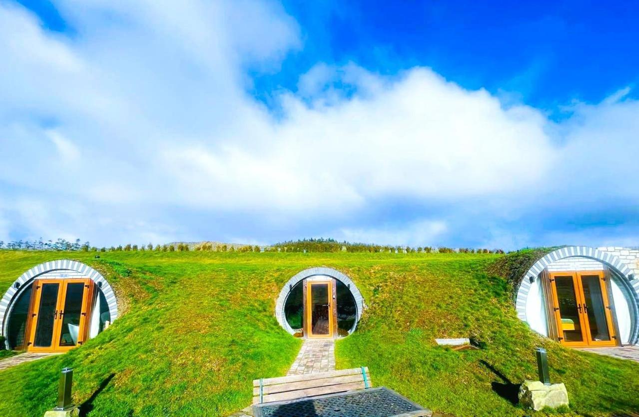 Rabbits View