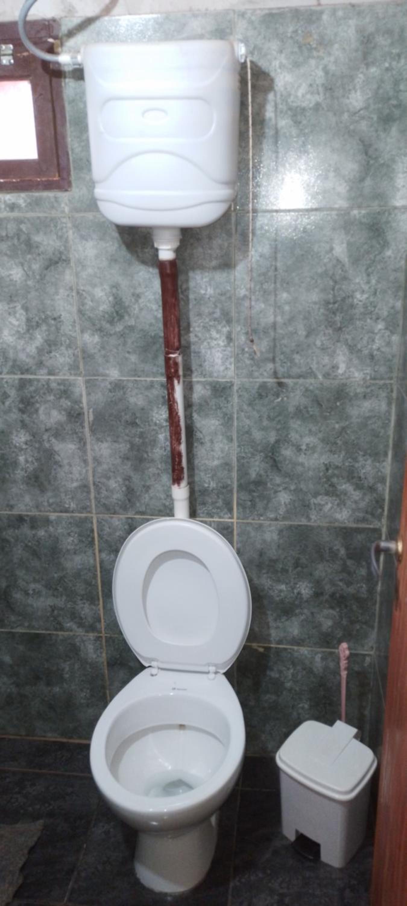 Cabaña Tamanduá