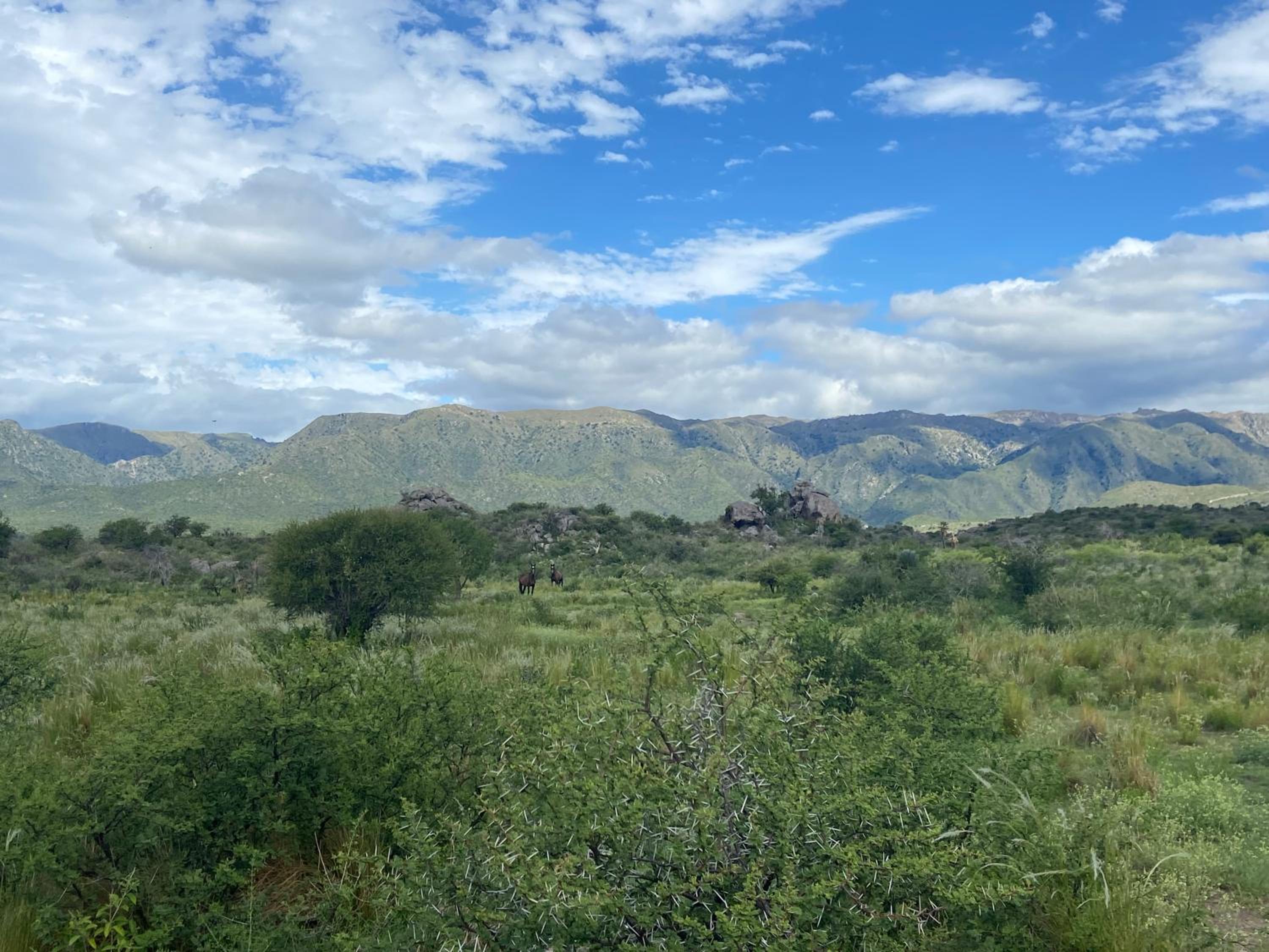 Descanso, aventura y ecoturismo en las sierras