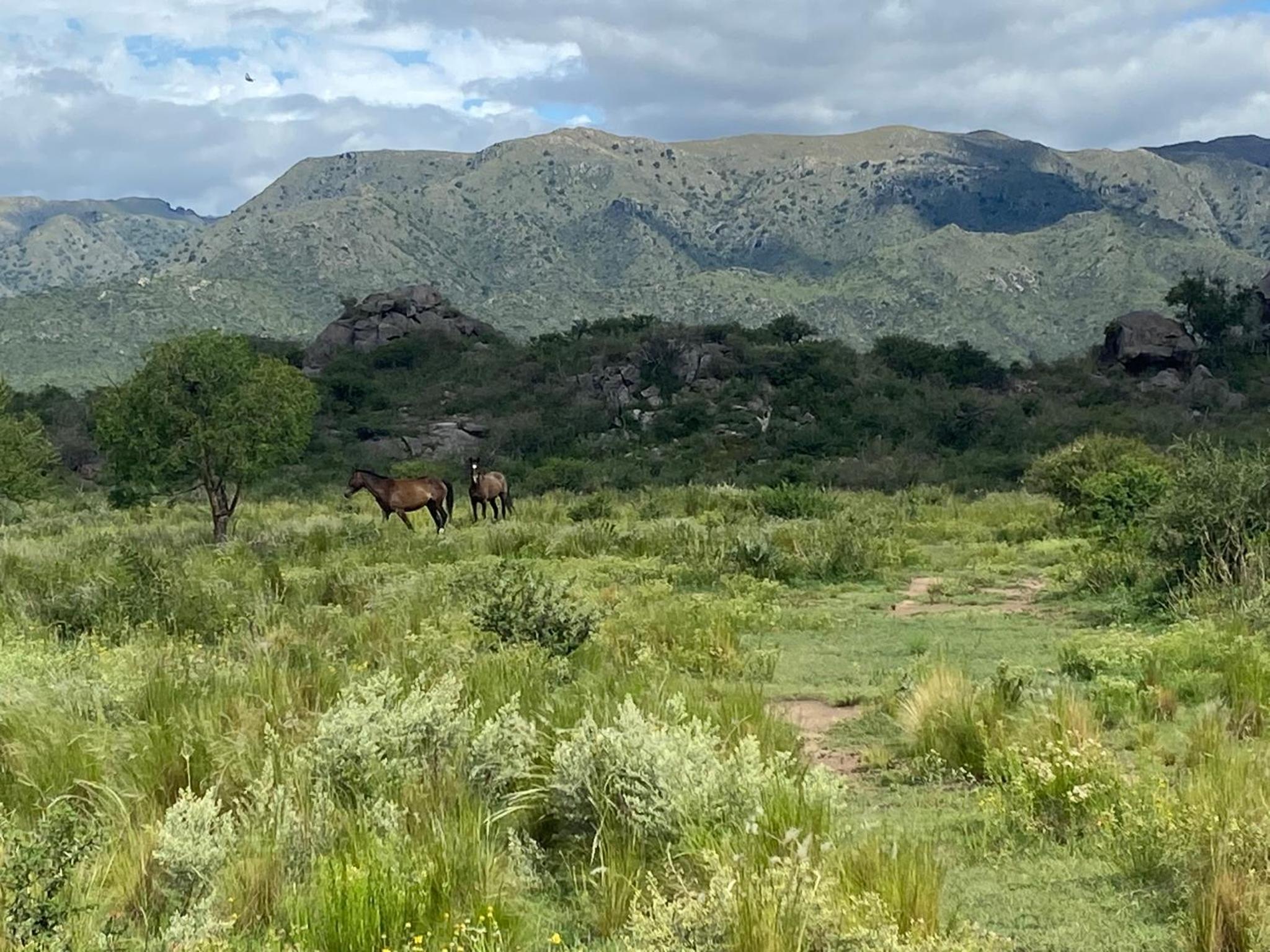 Descanso, aventura y ecoturismo en las sierras