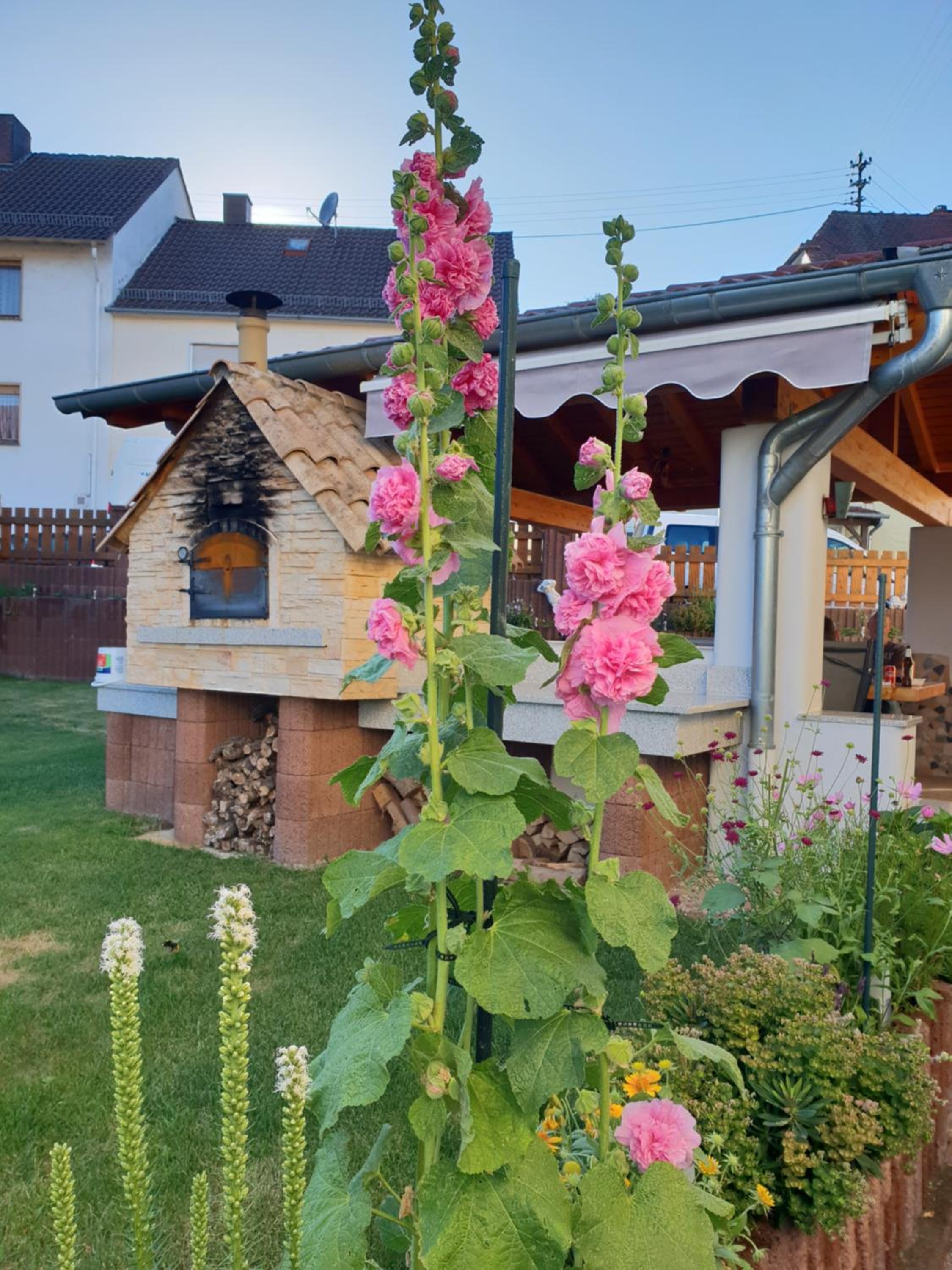 Photo 37