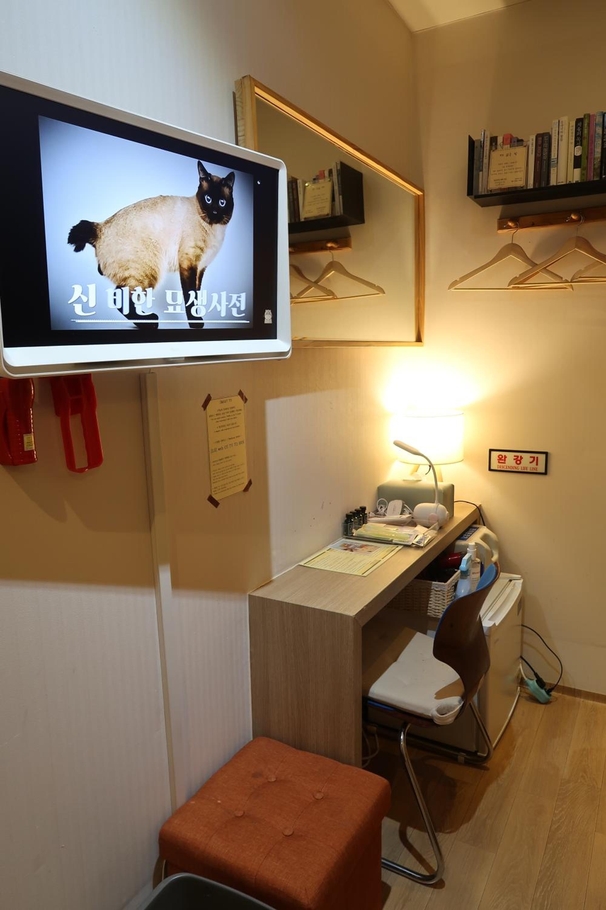 Andong Poong-gyung HOSTEL n LIBRARY