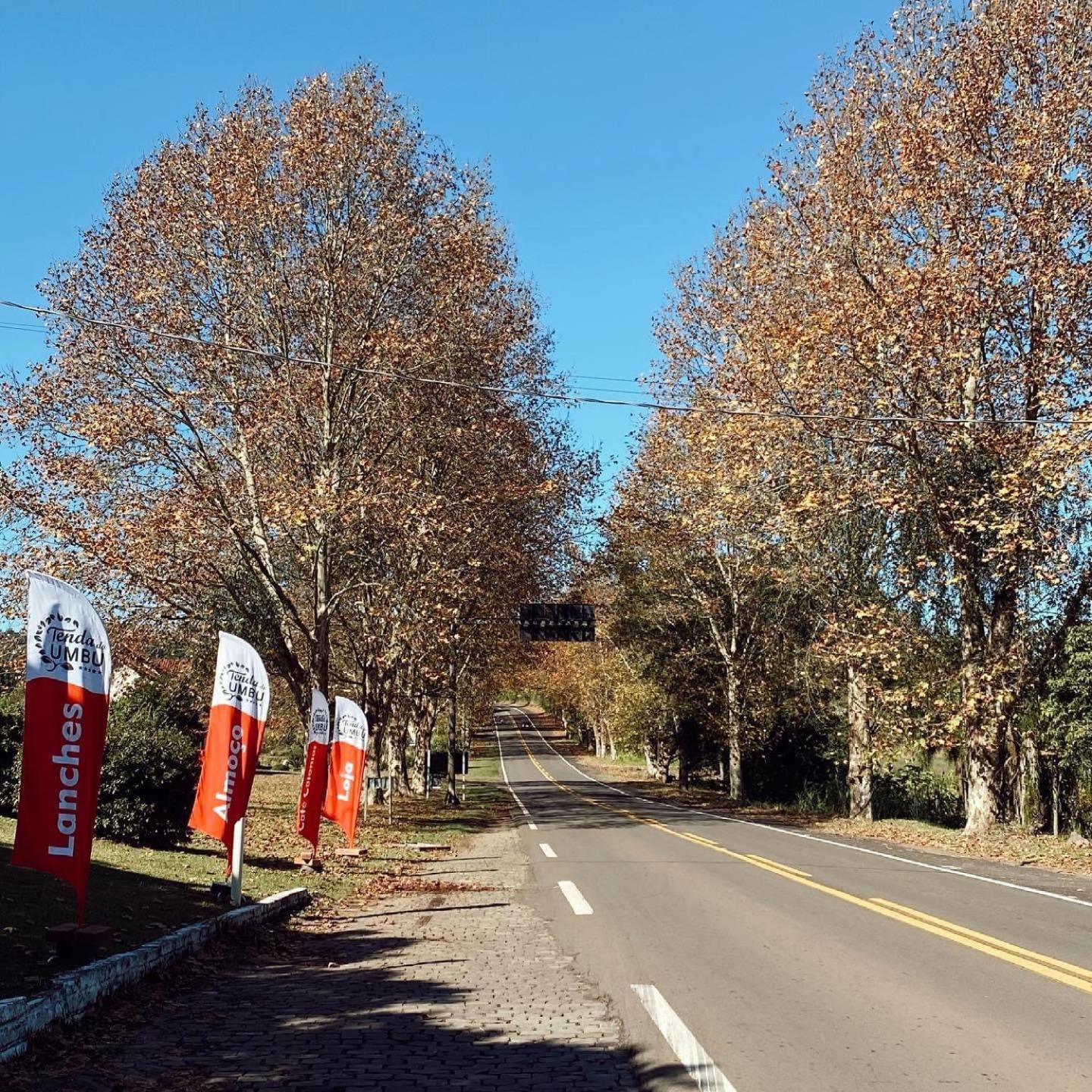 Cabana na Serra Gaúcha!