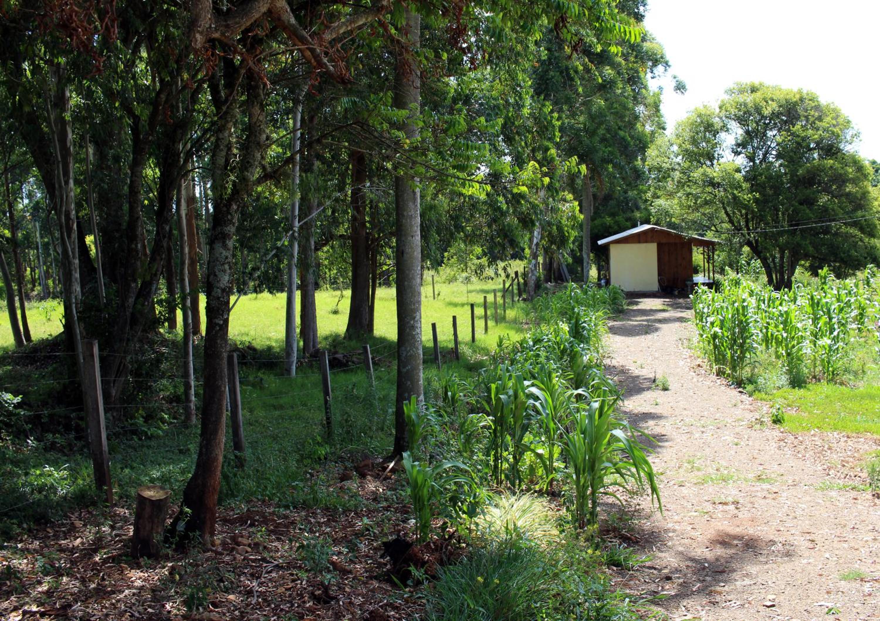 Cabana na Serra Gaúcha!