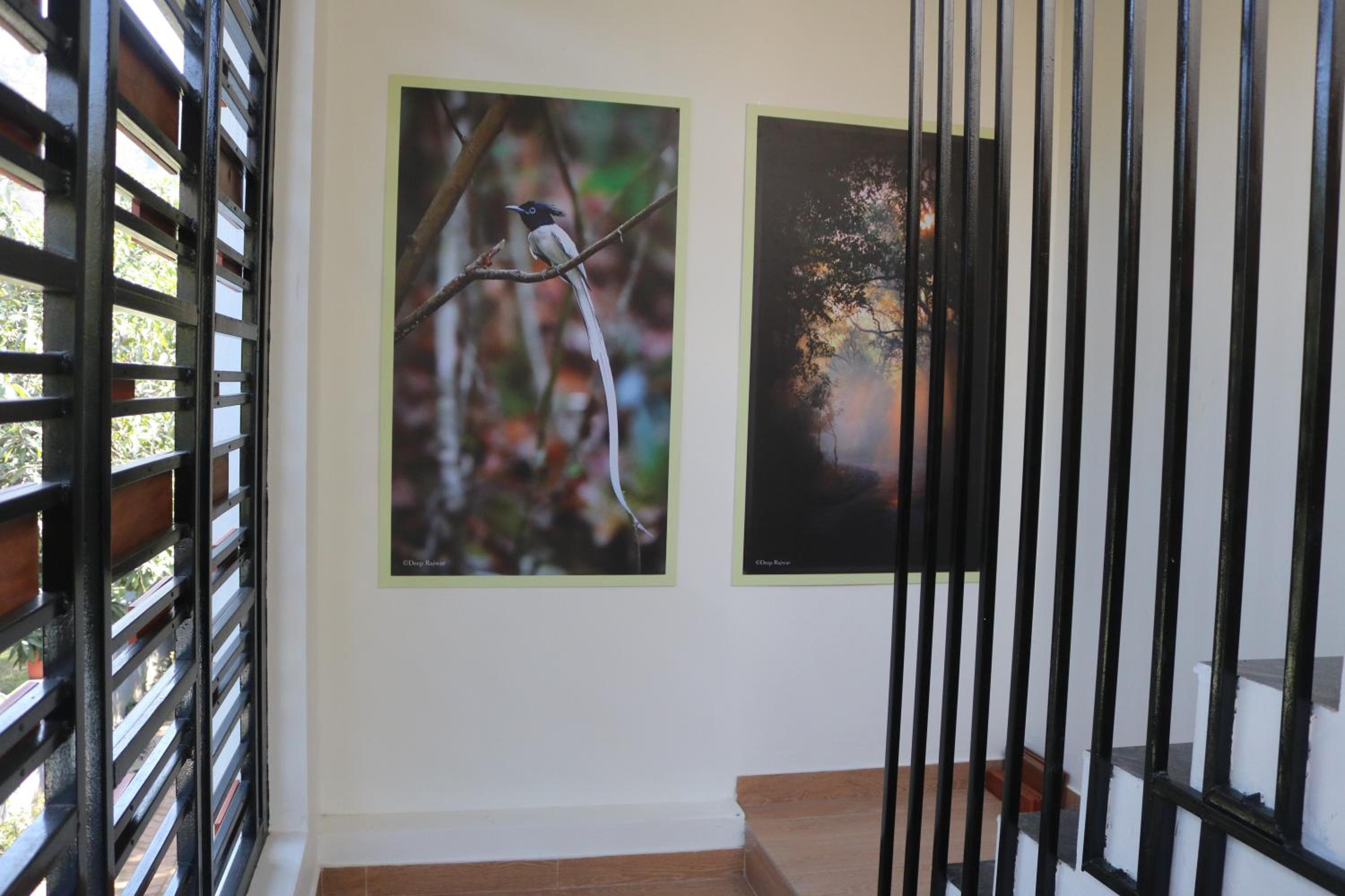 Barefoot Homestays