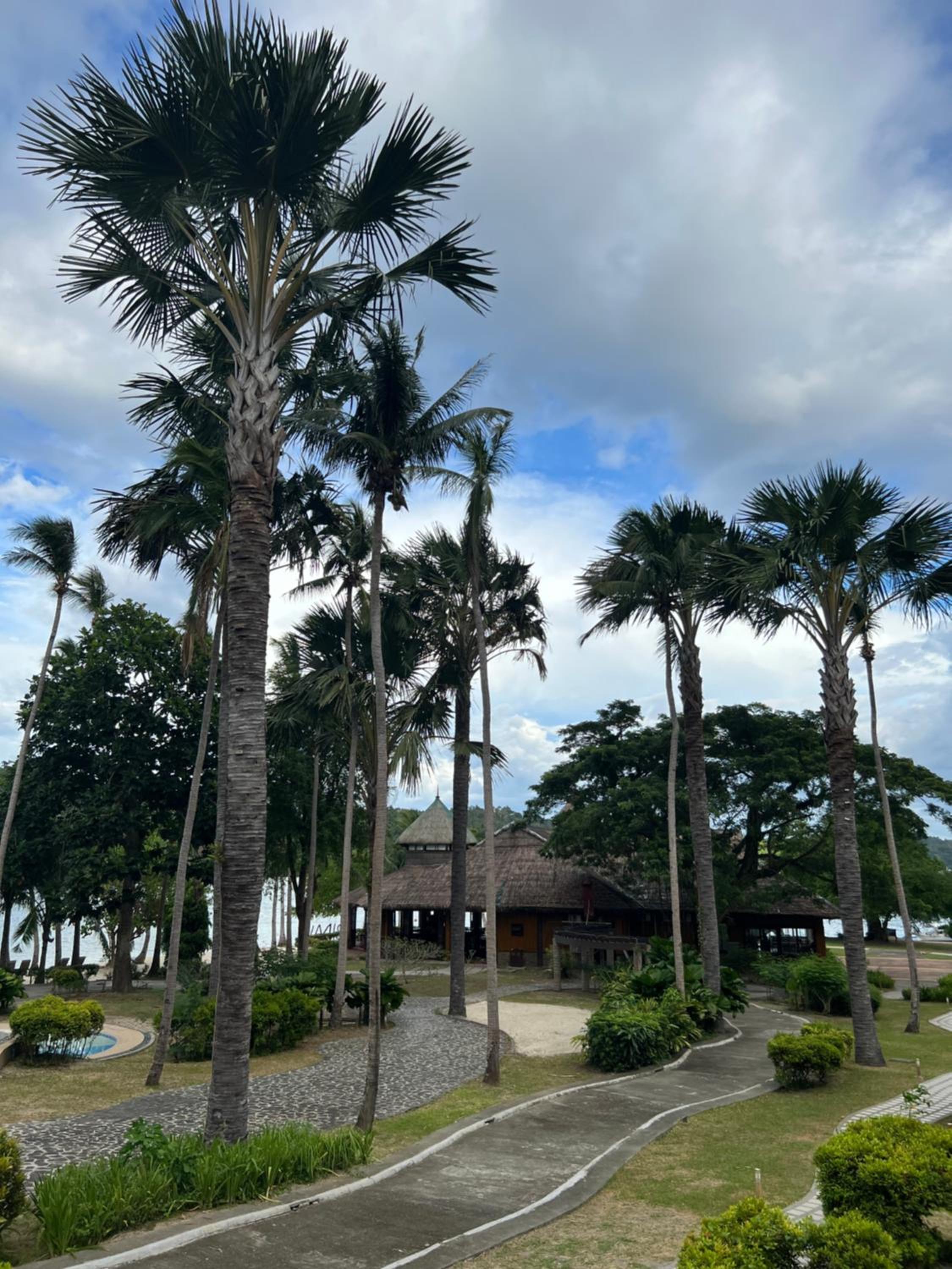 Fridays Puerto Galera