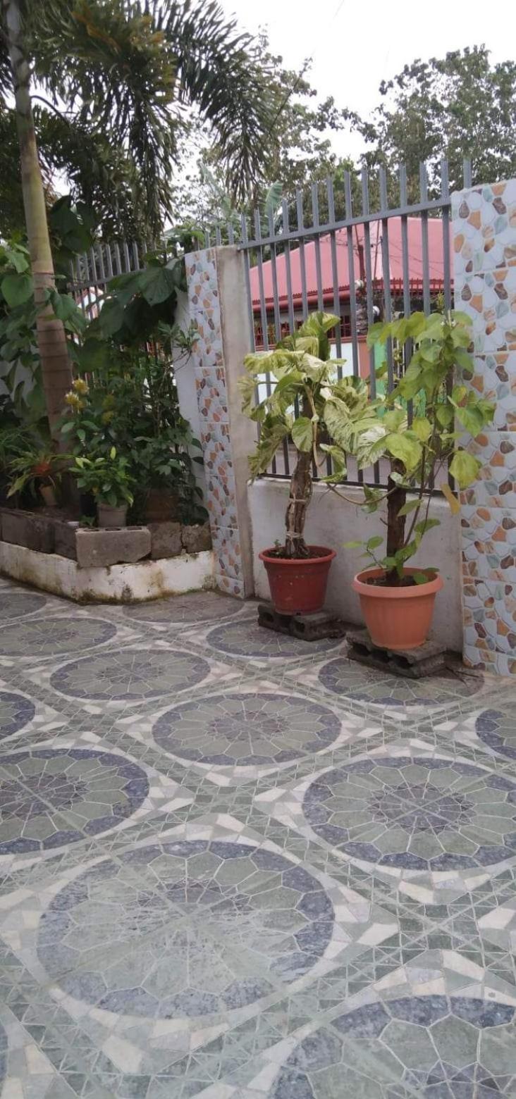 Silay DennisFhin Residence view 5