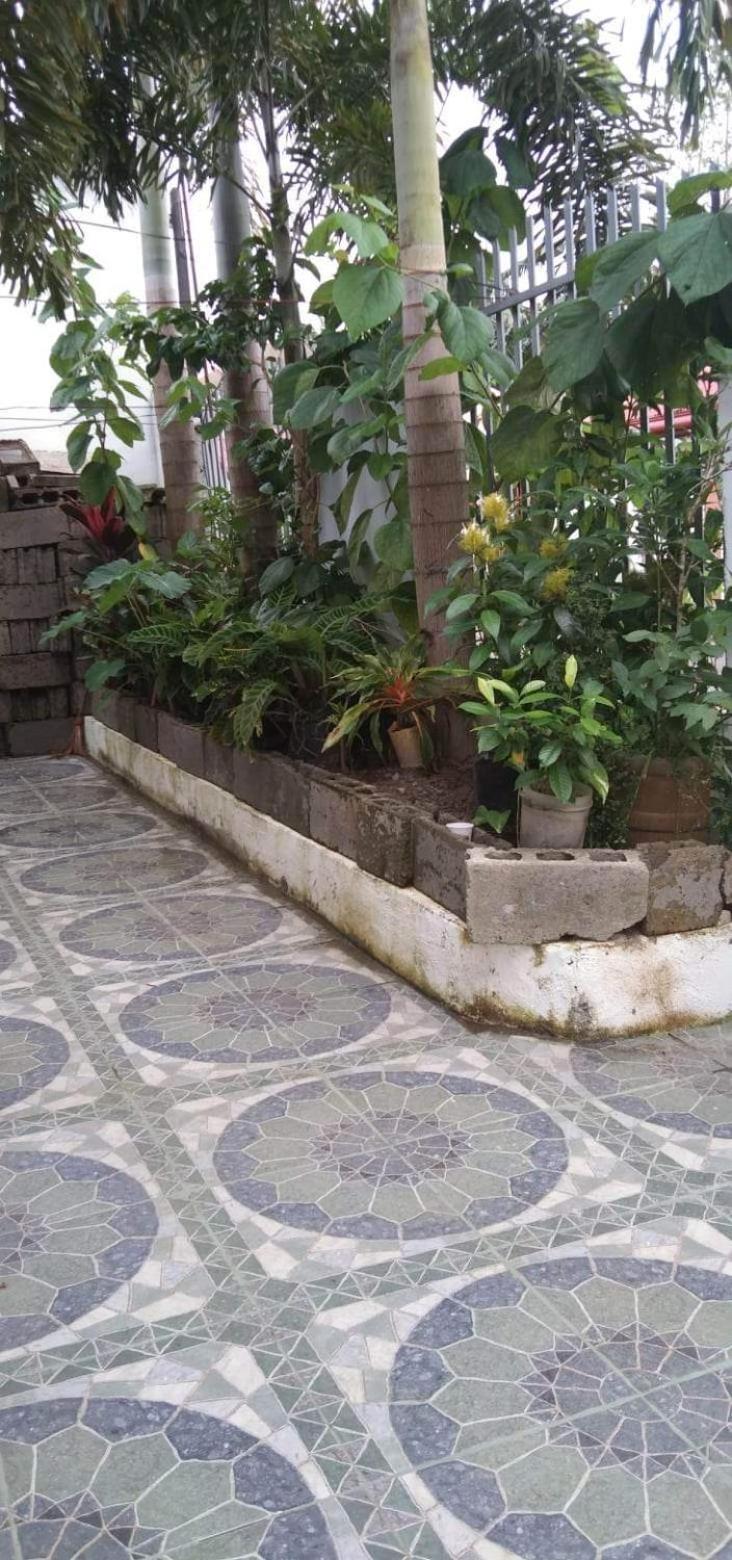 Silay DennisFhin Residence view 4