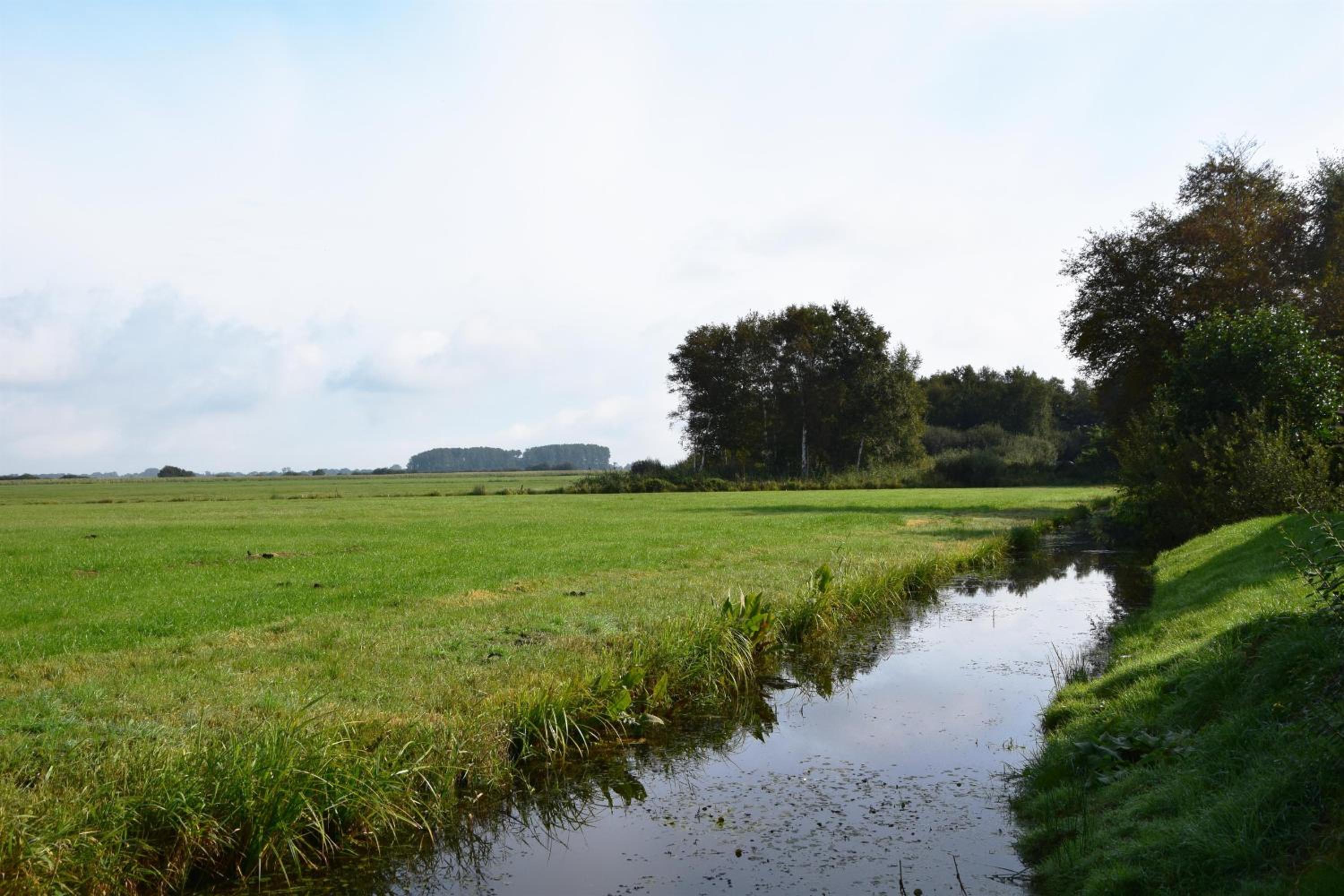 Ferienhaus Reiherweg