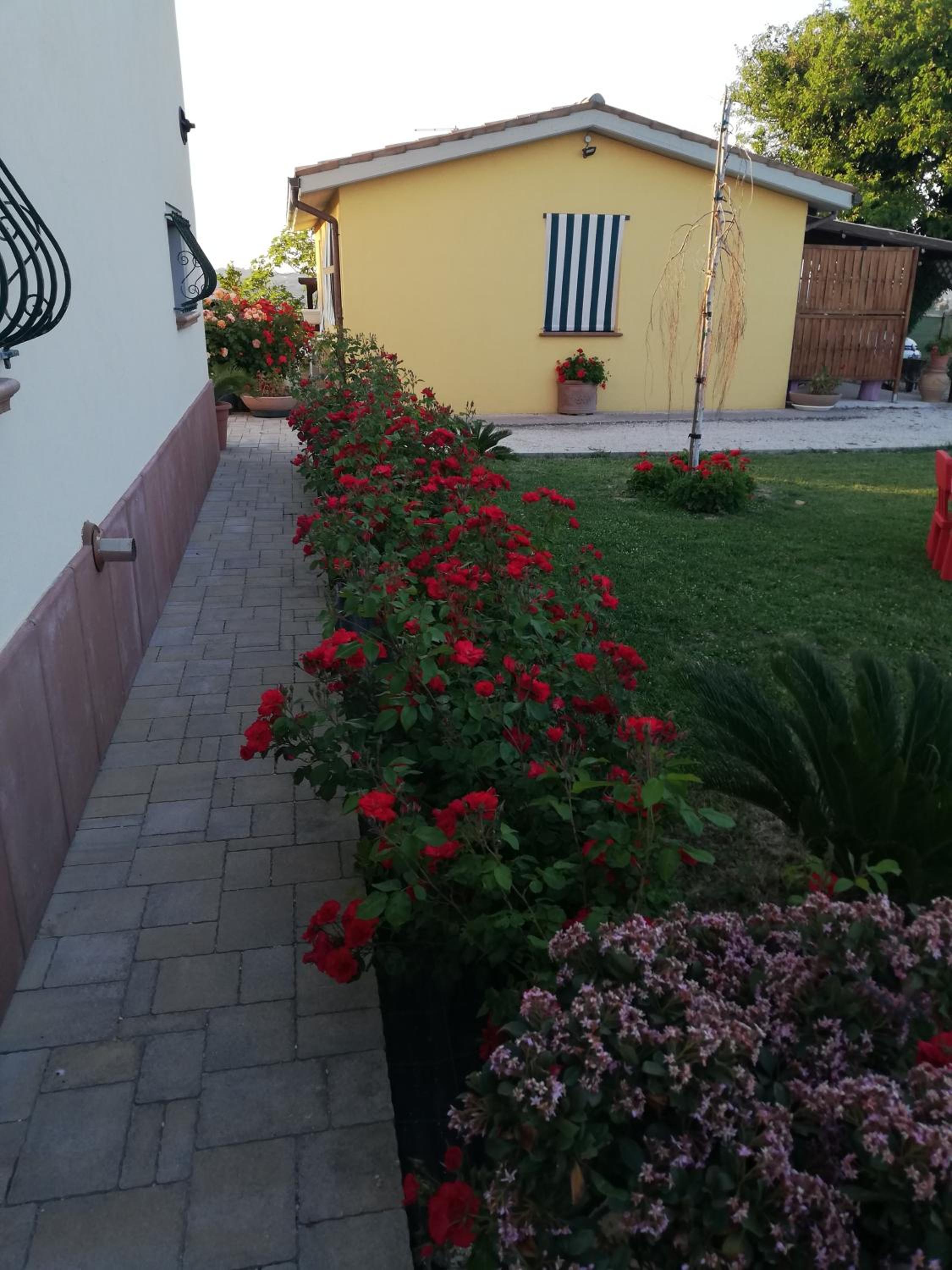 Photo 32