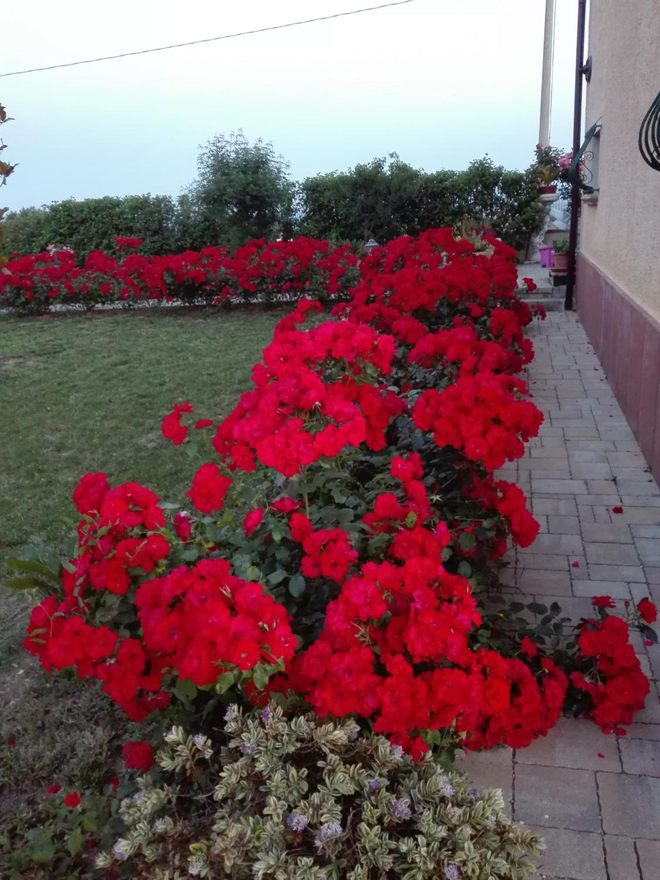 Photo 30